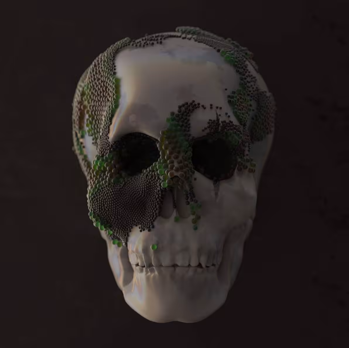 packed skull