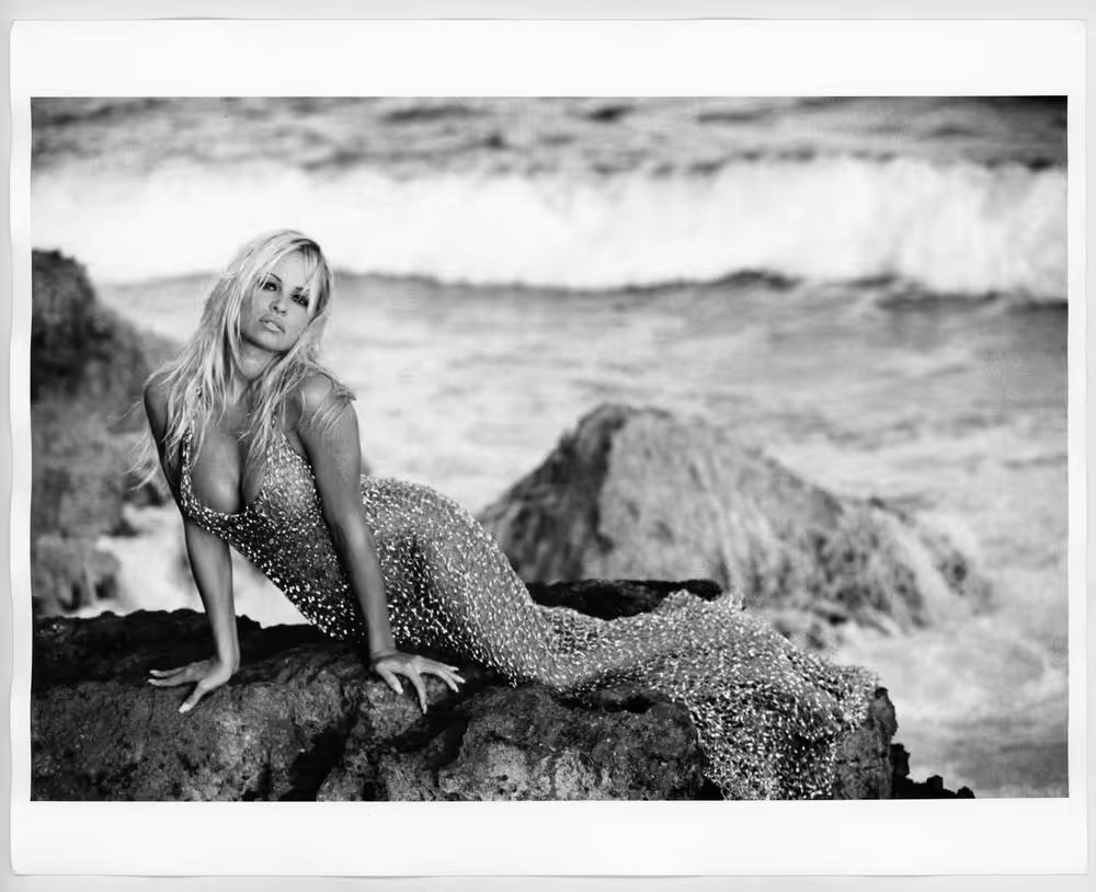Mermaid