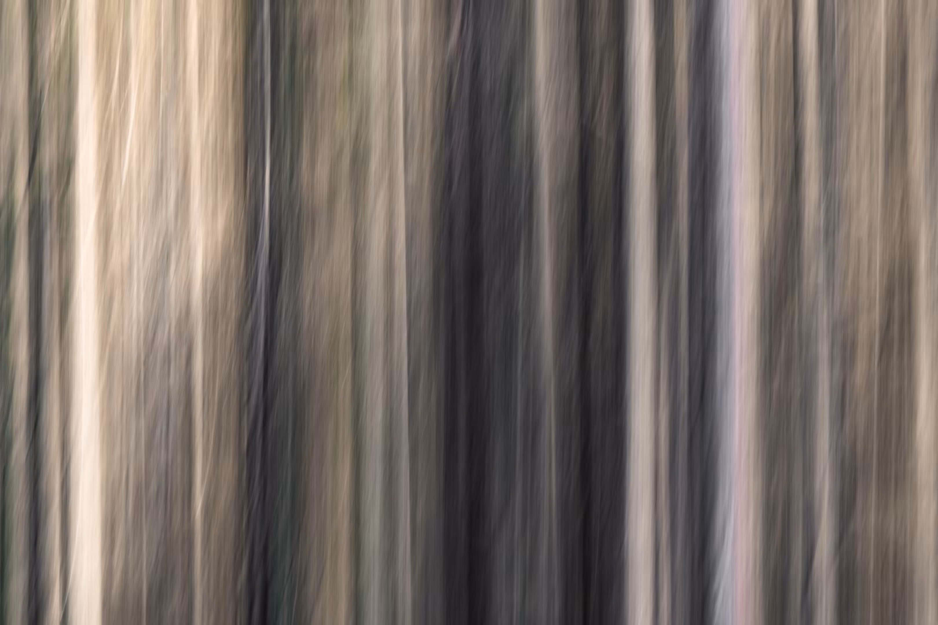 The Ghosts of Elowah #29