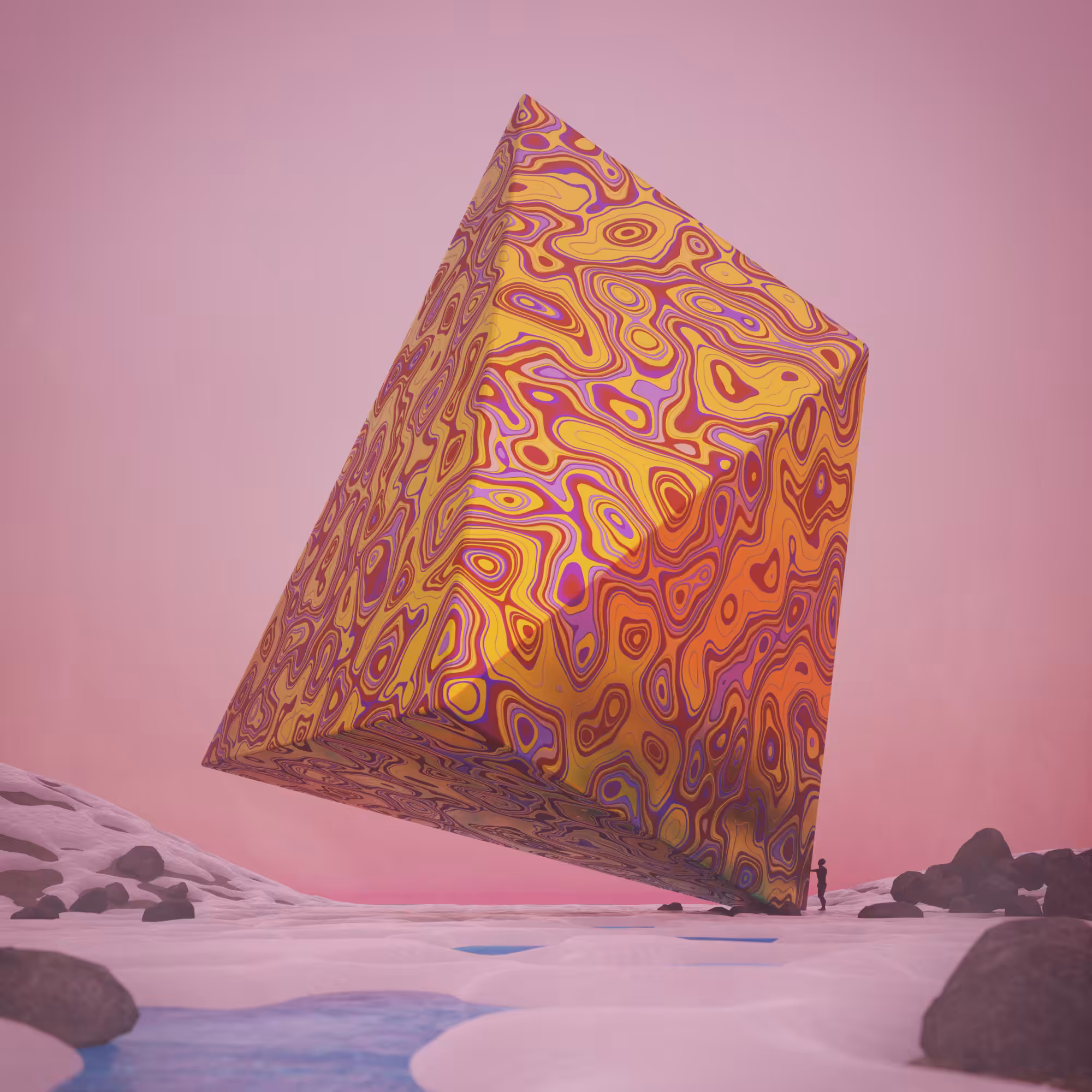 POLARIZED