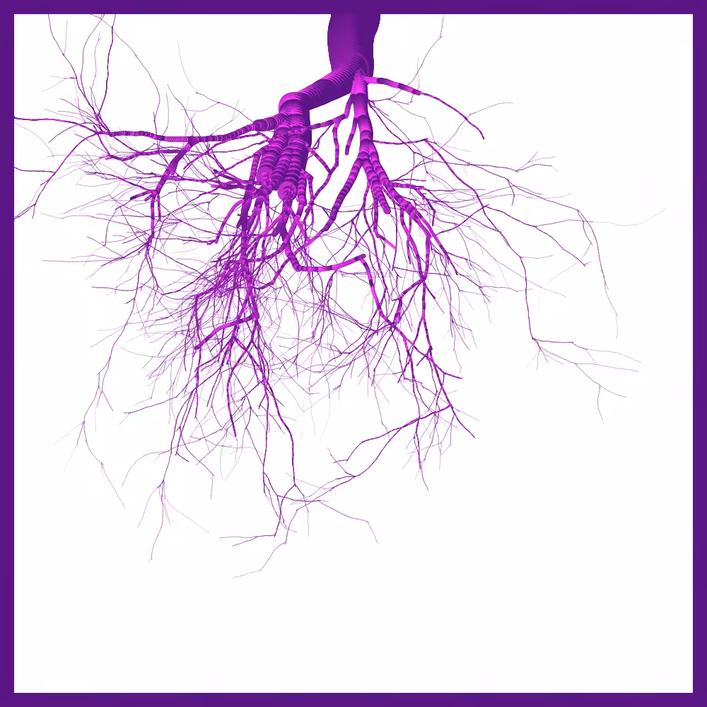 Arbres suspendus #68