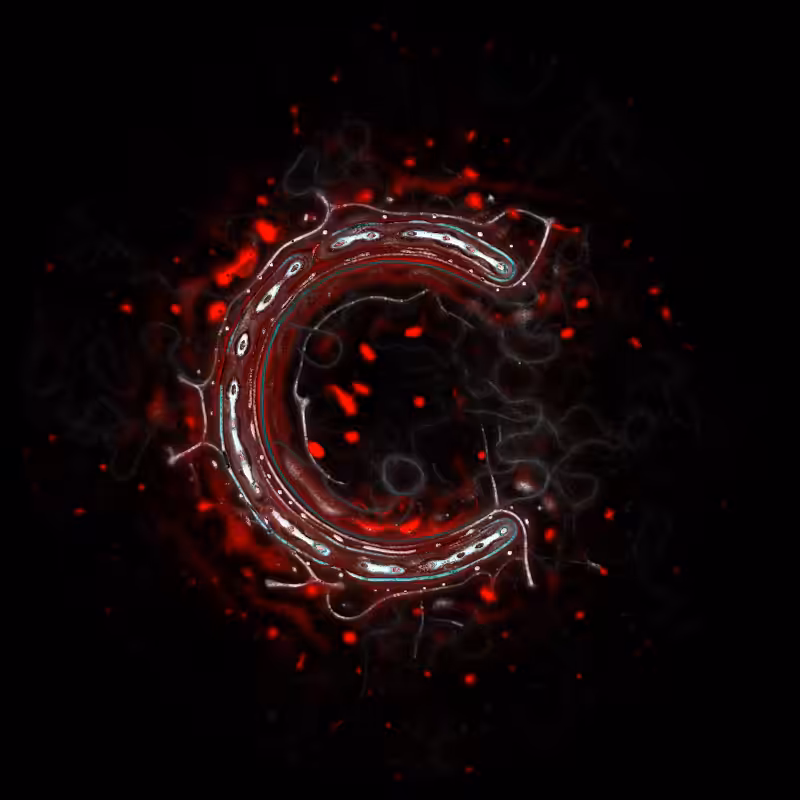 Ethereal Microcosm #122