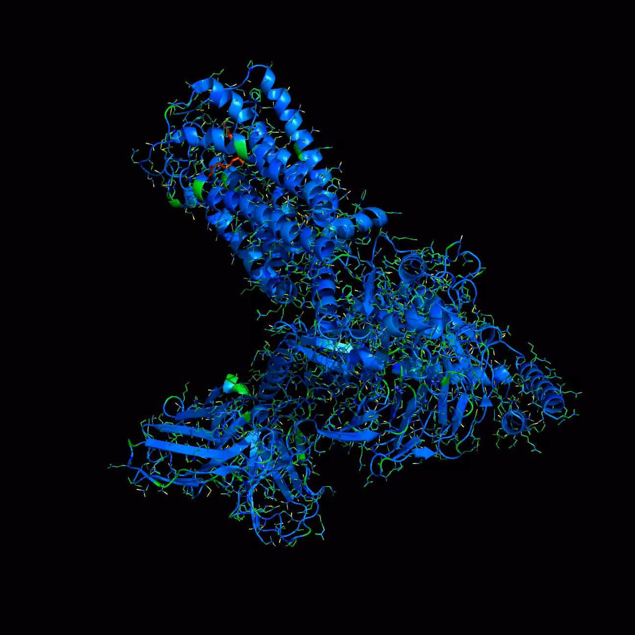 Cannabinoid Receptor-Gi Complex