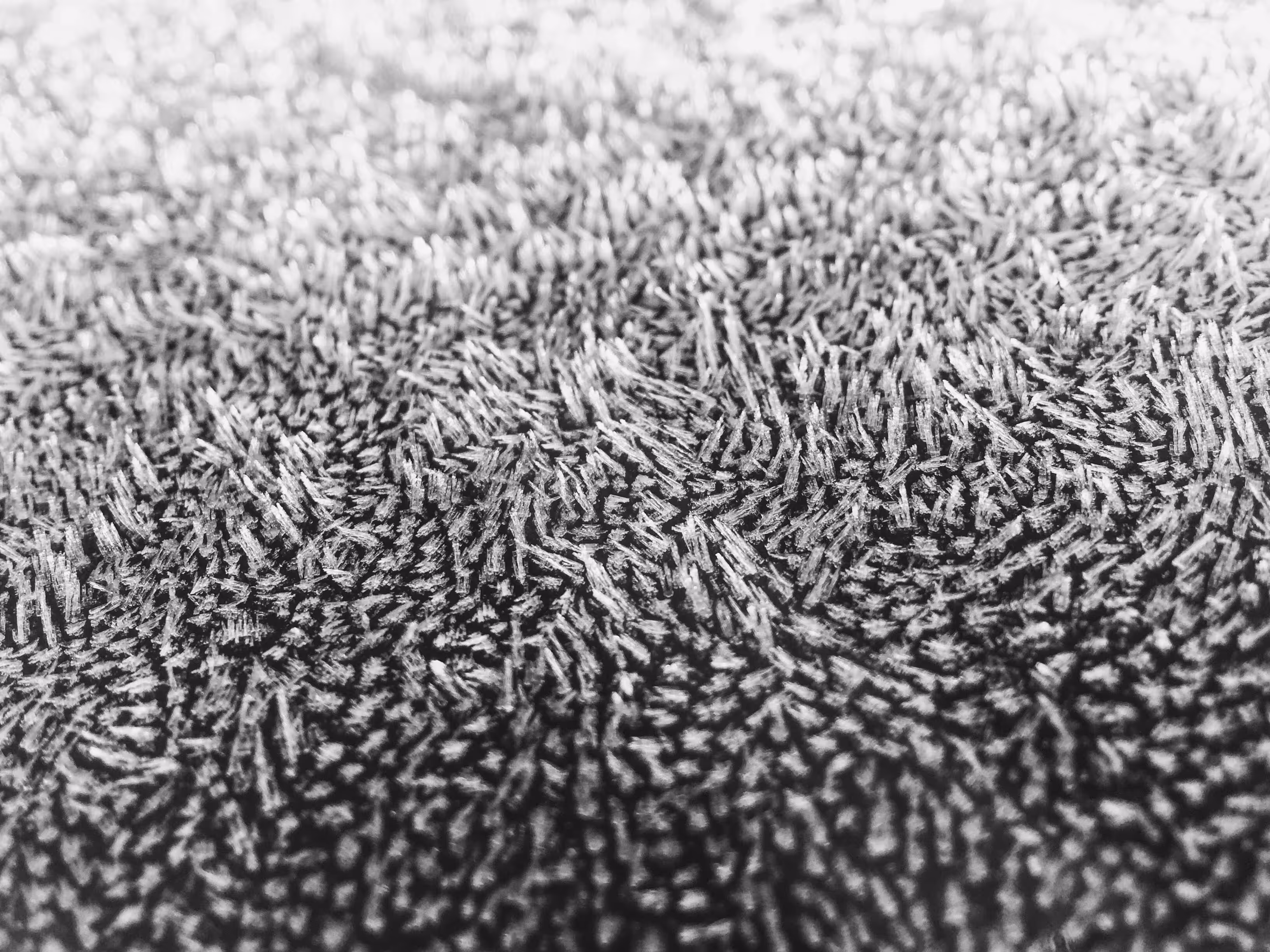 Frost