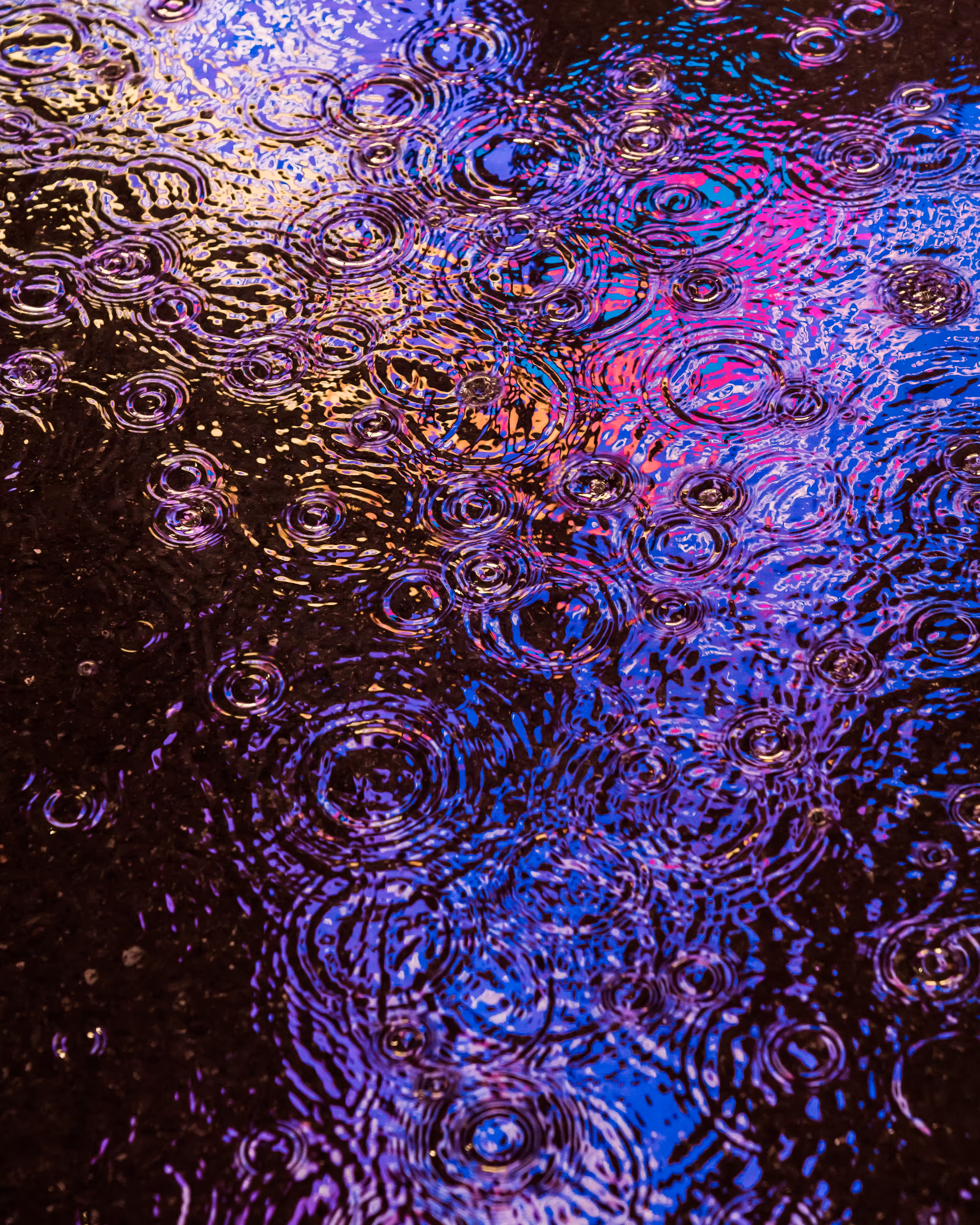 DRIP DROP: DRIP #14