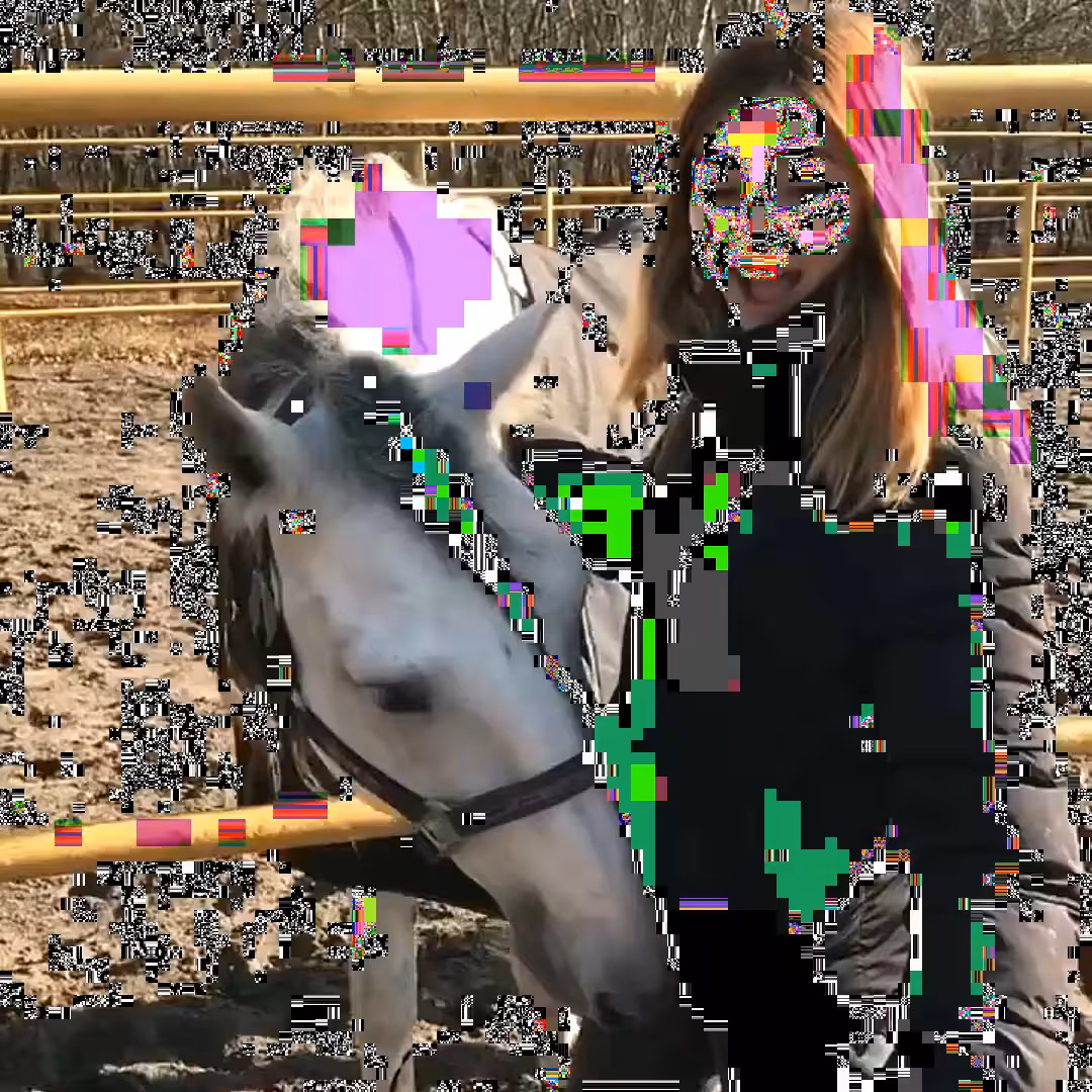 Horse Person