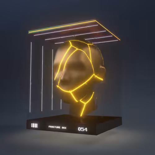 FRACTURE BOI - 055