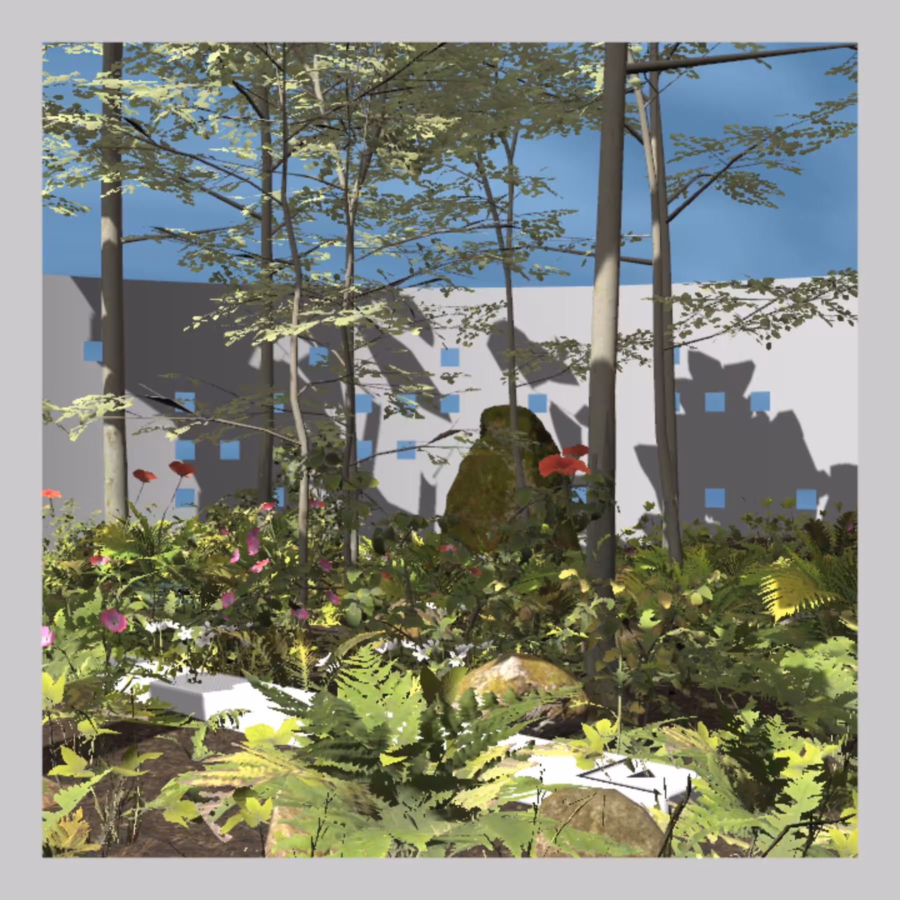Vista