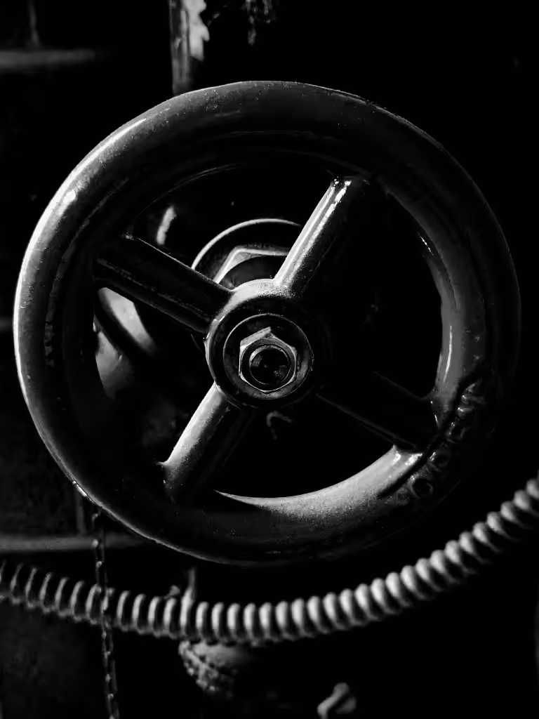 Transient 006