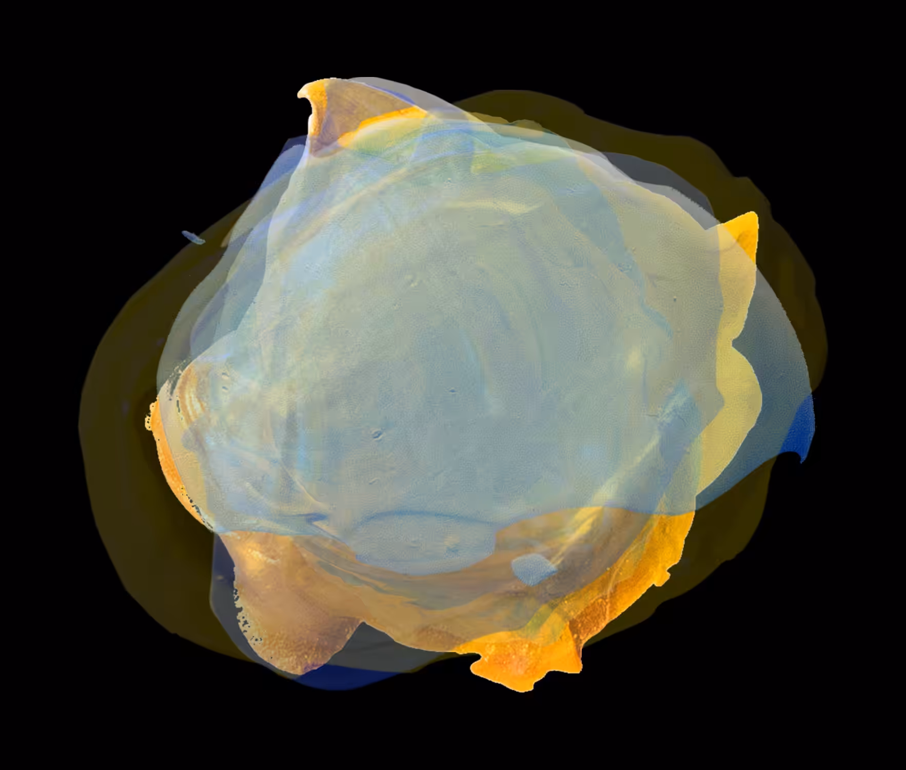 Palet Chaos