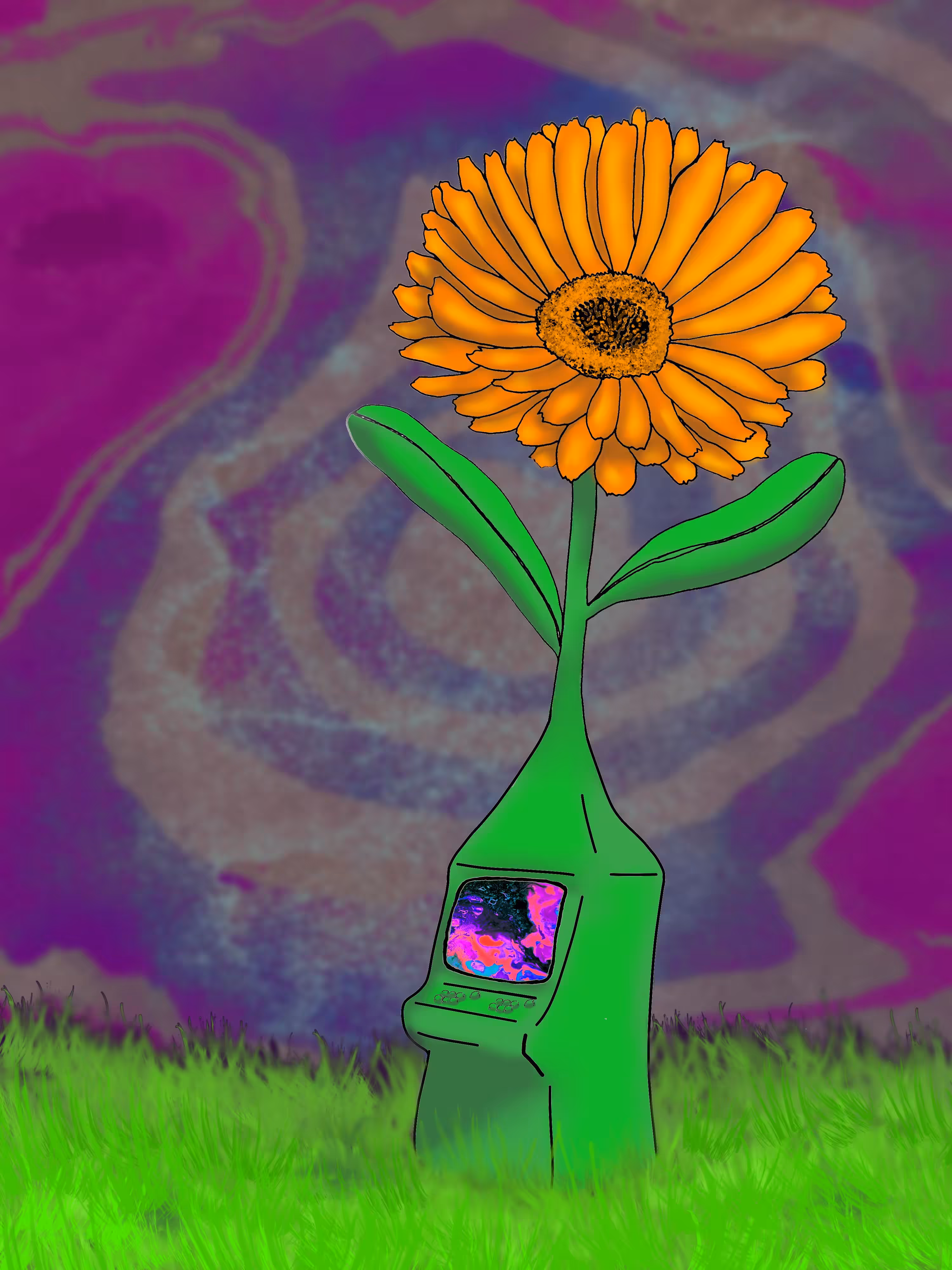 Calendula Arcade