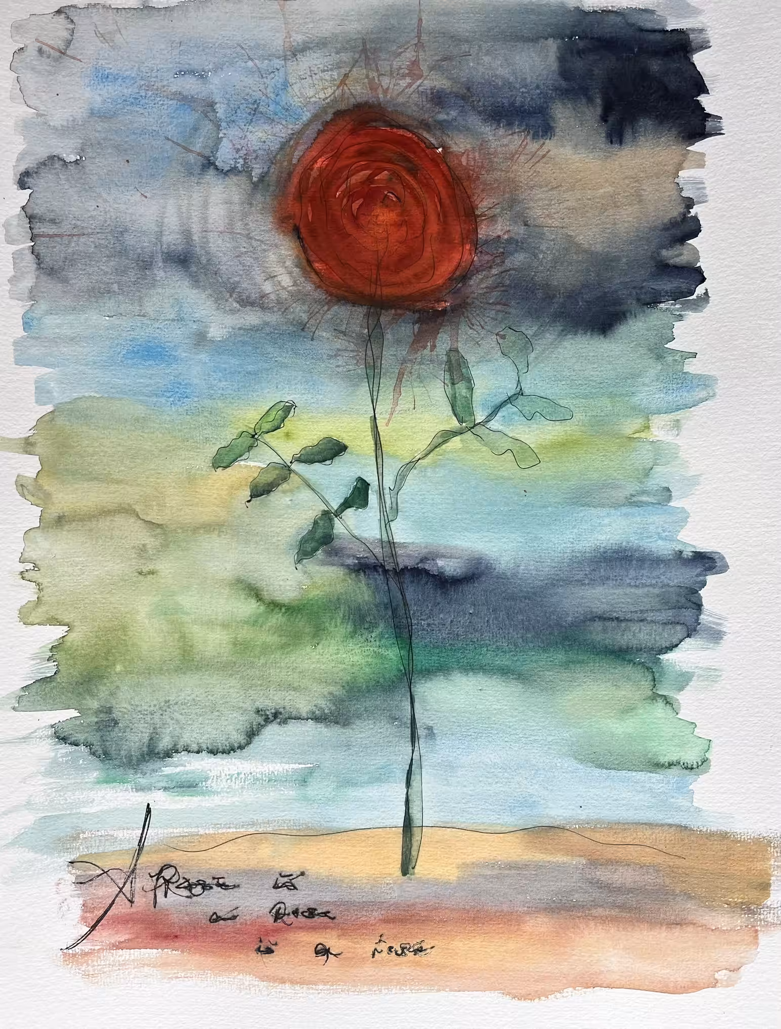 the flower