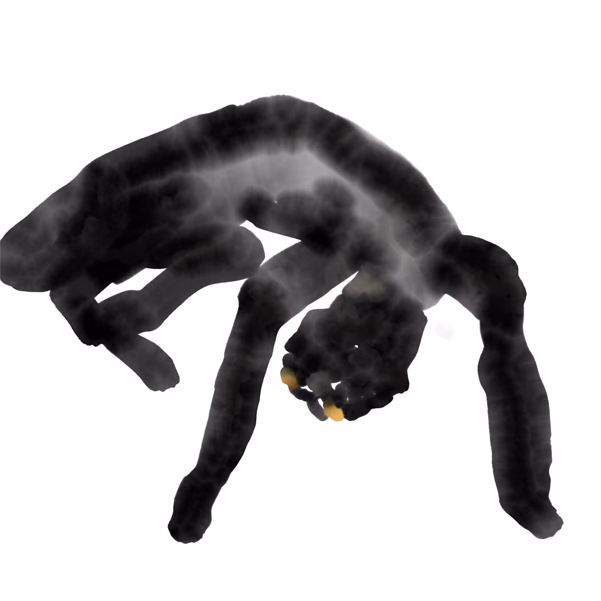muna, my cat