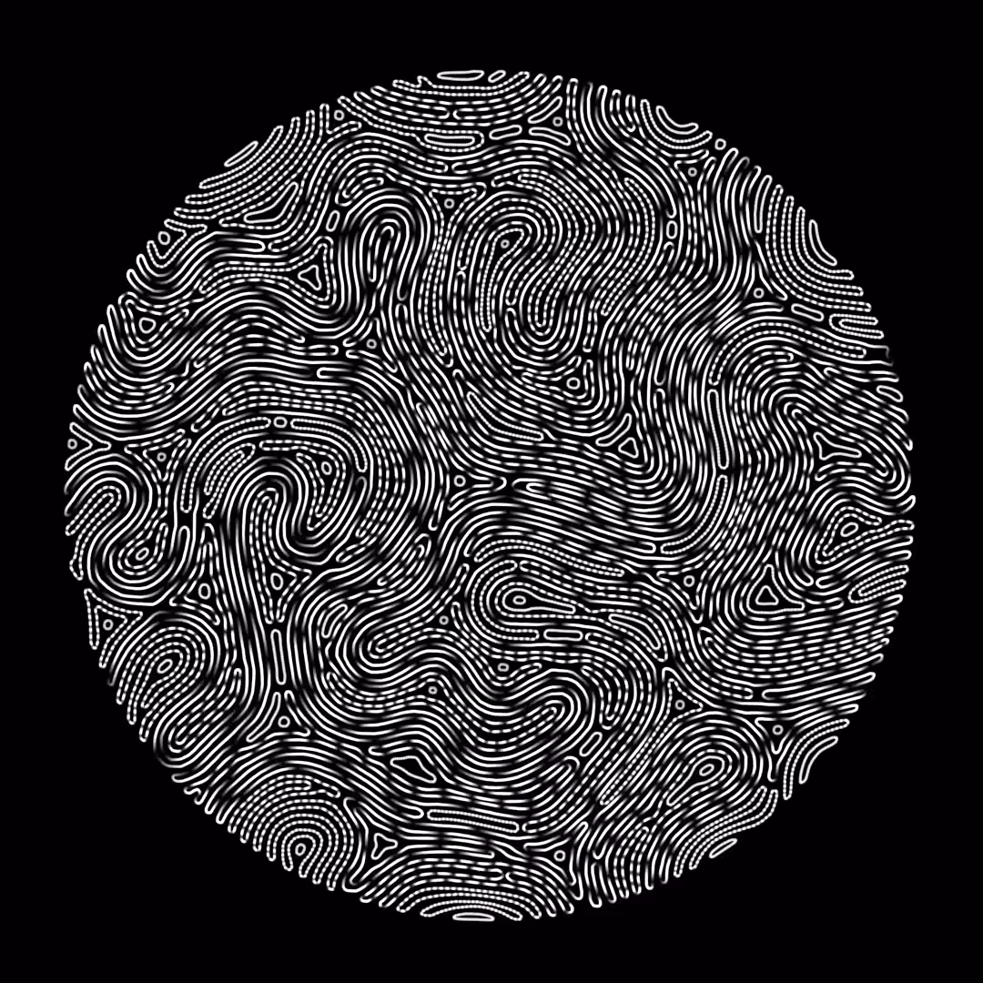 DIGITAL FINGERPRINT