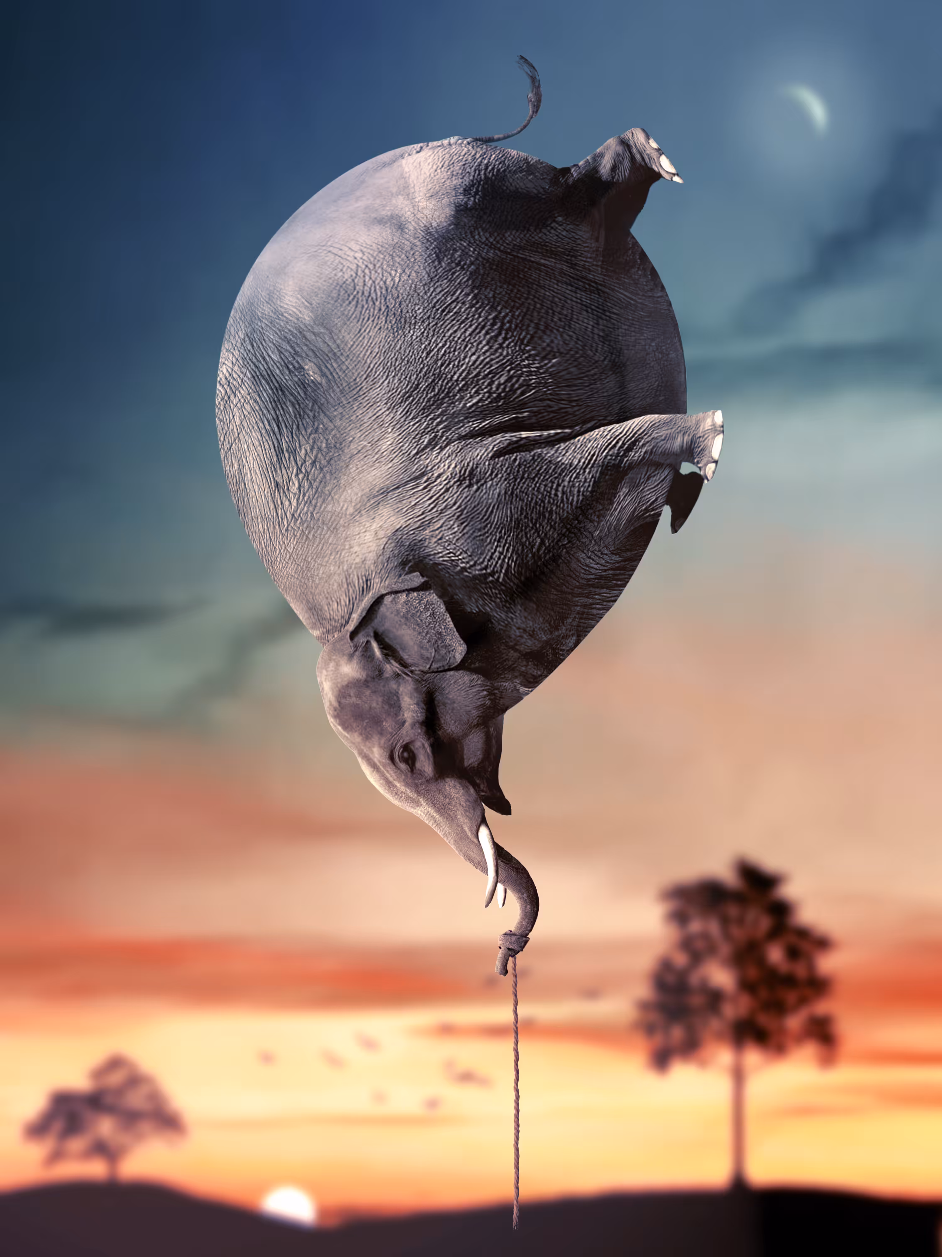 Balloonephant