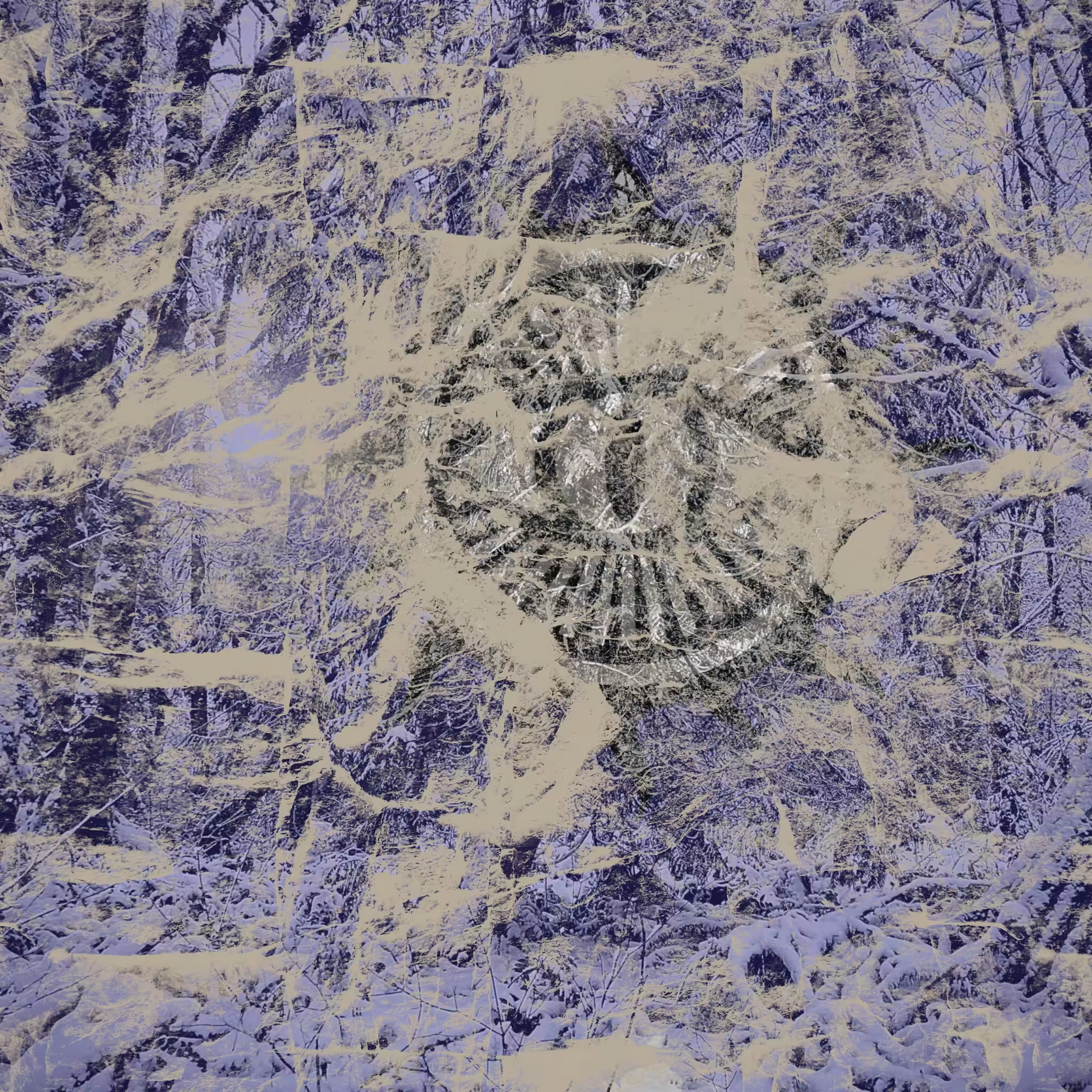 Album Art: Serpentine Vision