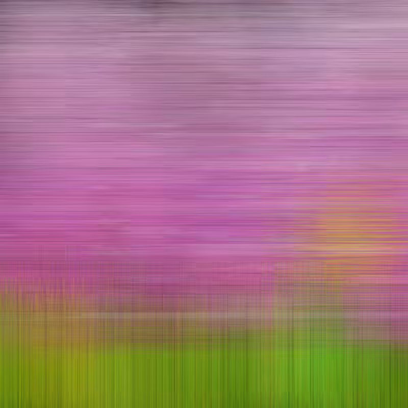 Hatch Field 003 #237