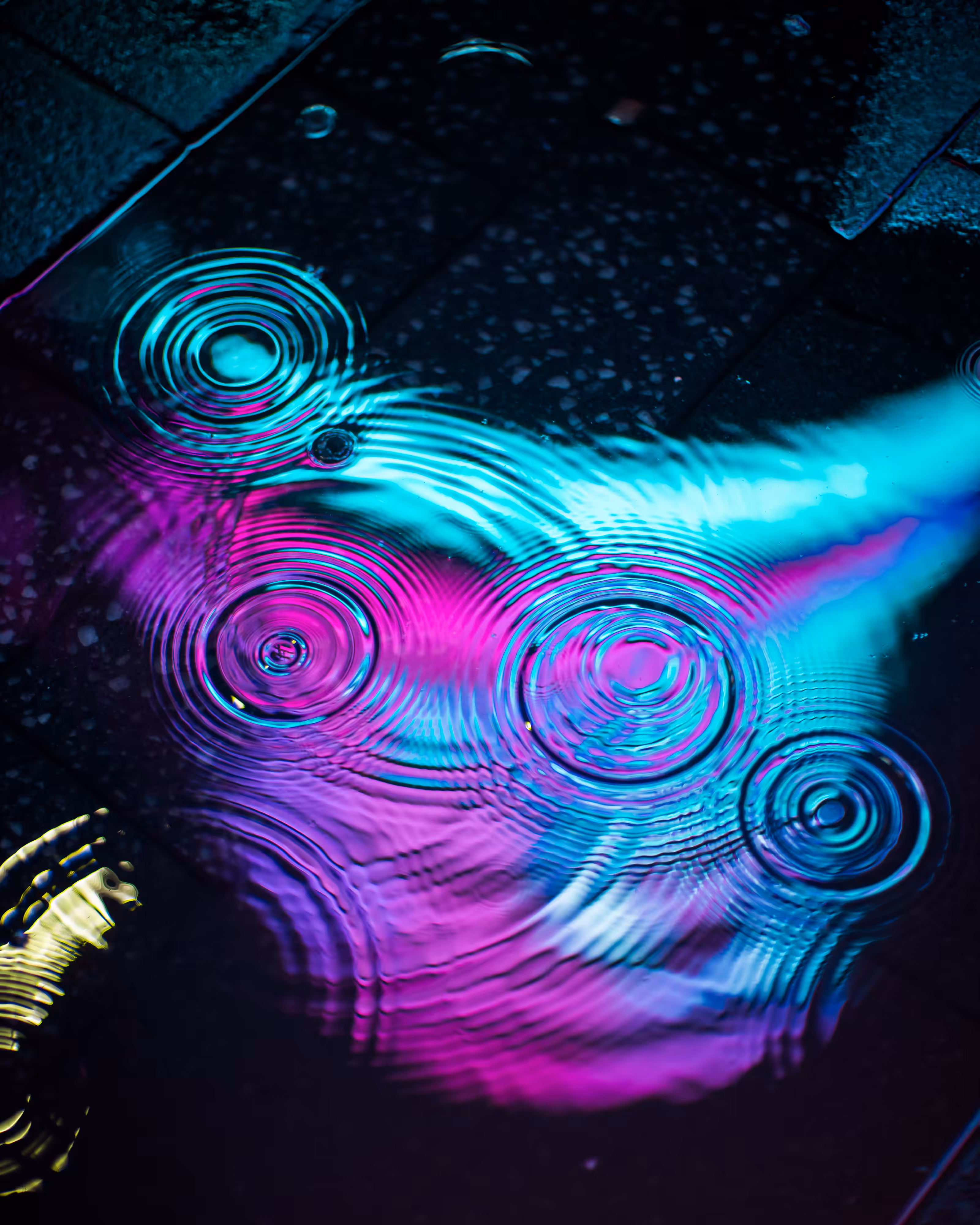 DRIP #4: AMPLITUDE