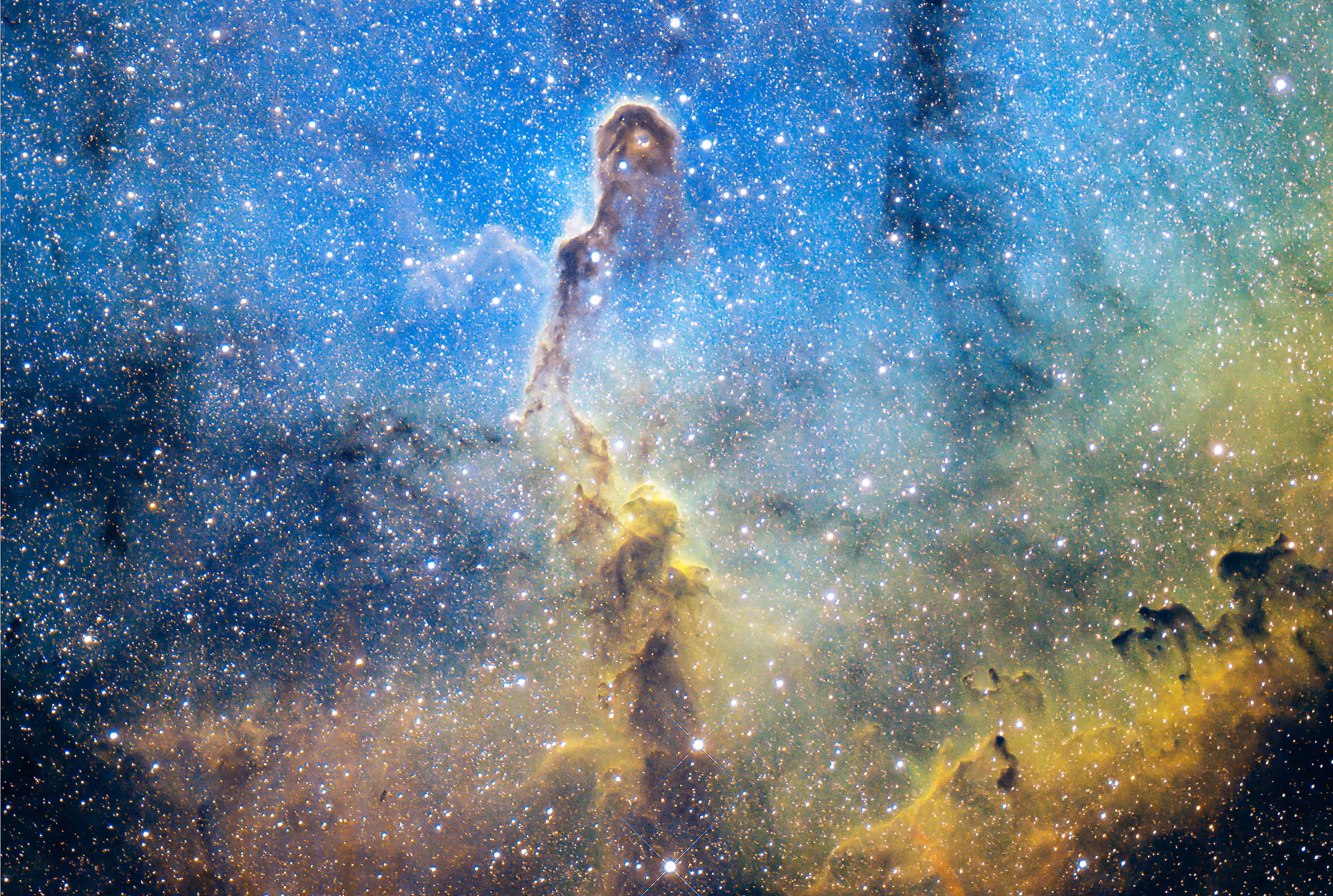 Elephant's Trunk Nebula