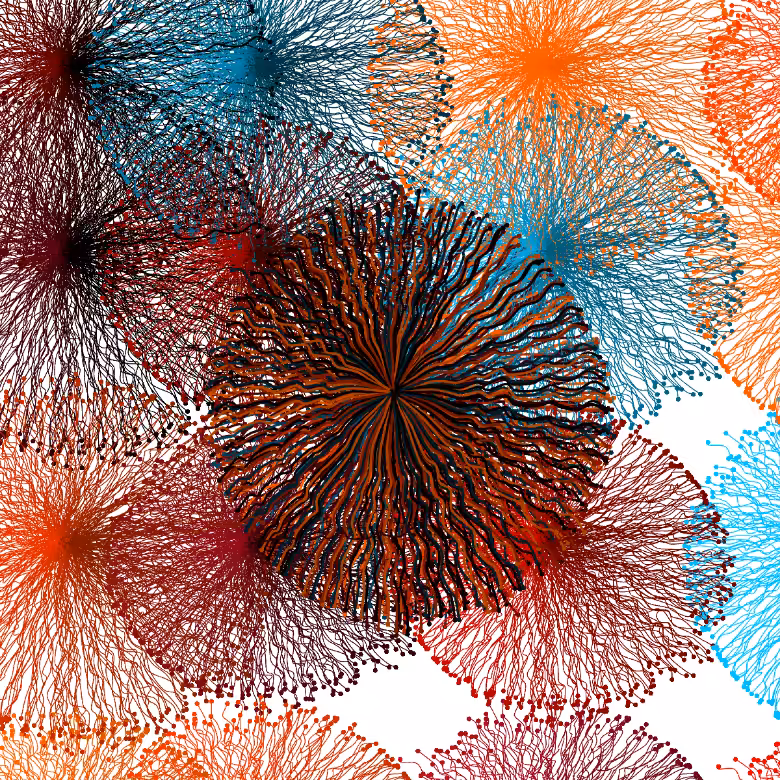 CircuWeb #21