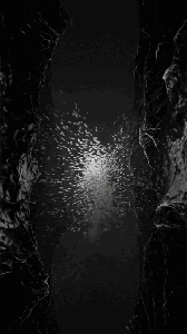 The Separation Of Two Seas