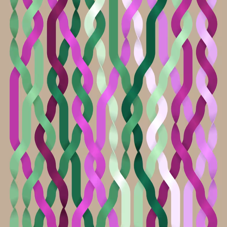 Endless Braids #14