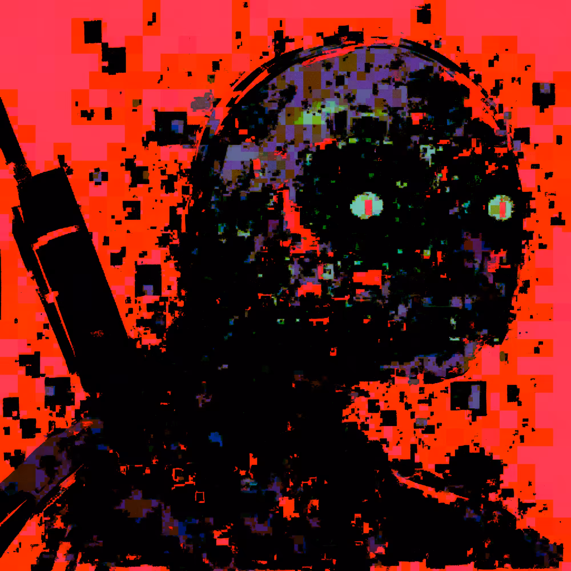 The Survivor