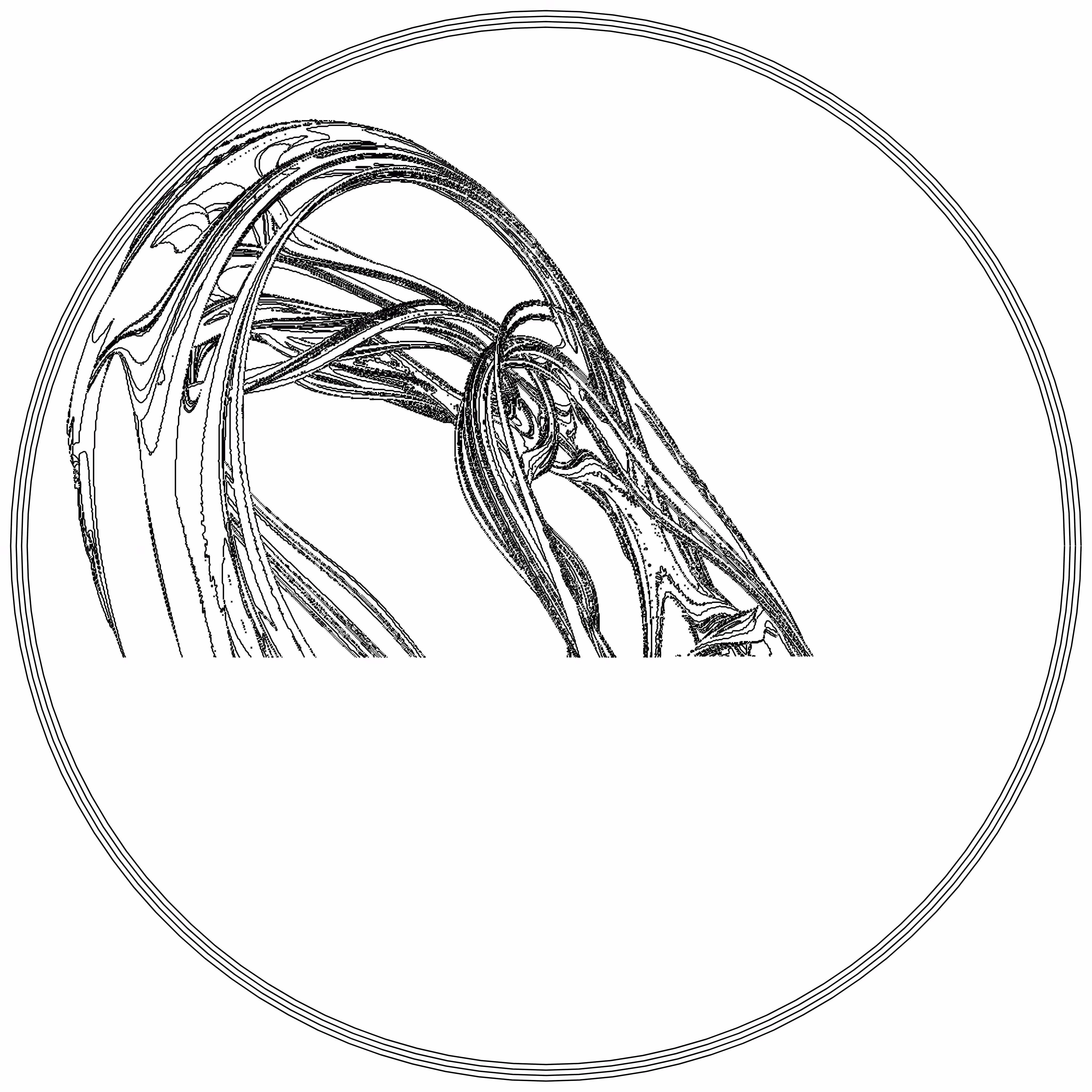 LL21 Fractal Contour #74