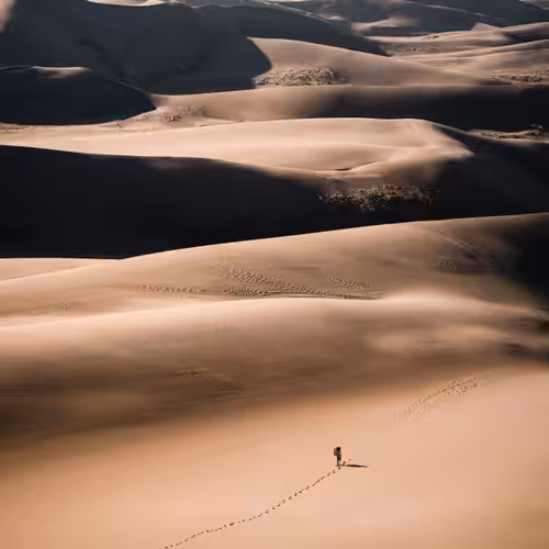 DUNE - 22, wander