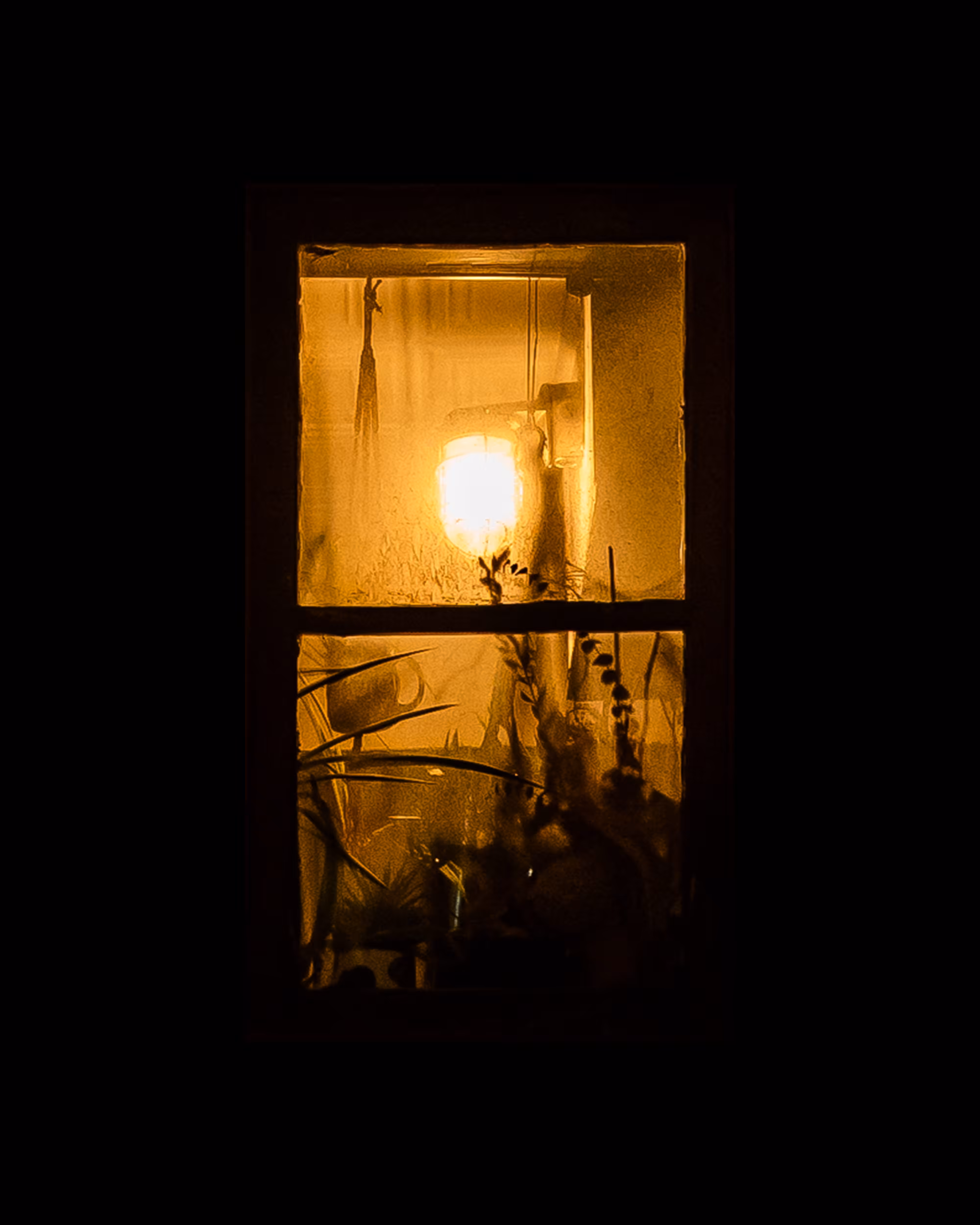 WINDOWS // NYC: WINDOW 36