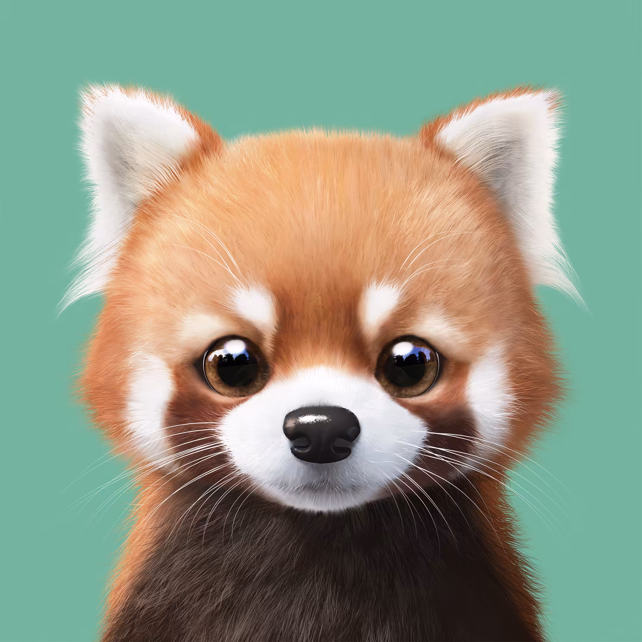 Sugar Cat & Candy Doggie: #336 Radi the Lesser Panda