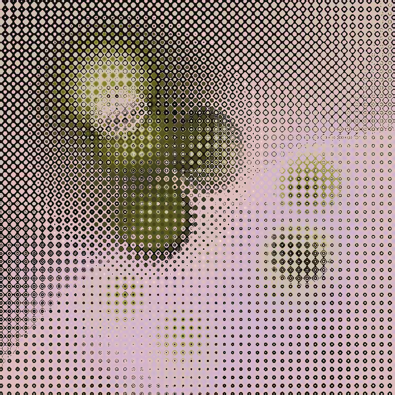 Focus #95