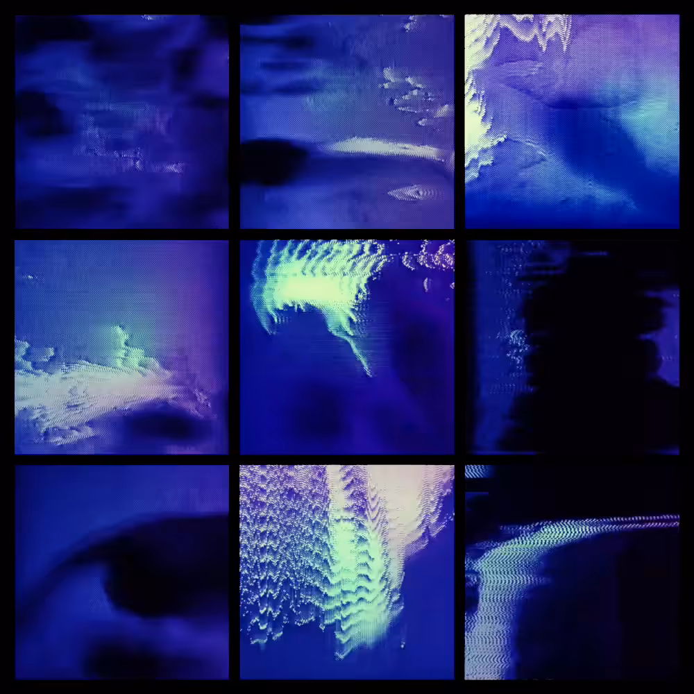 𝕋𝕙𝕖 𝕊𝕨𝕚𝕞