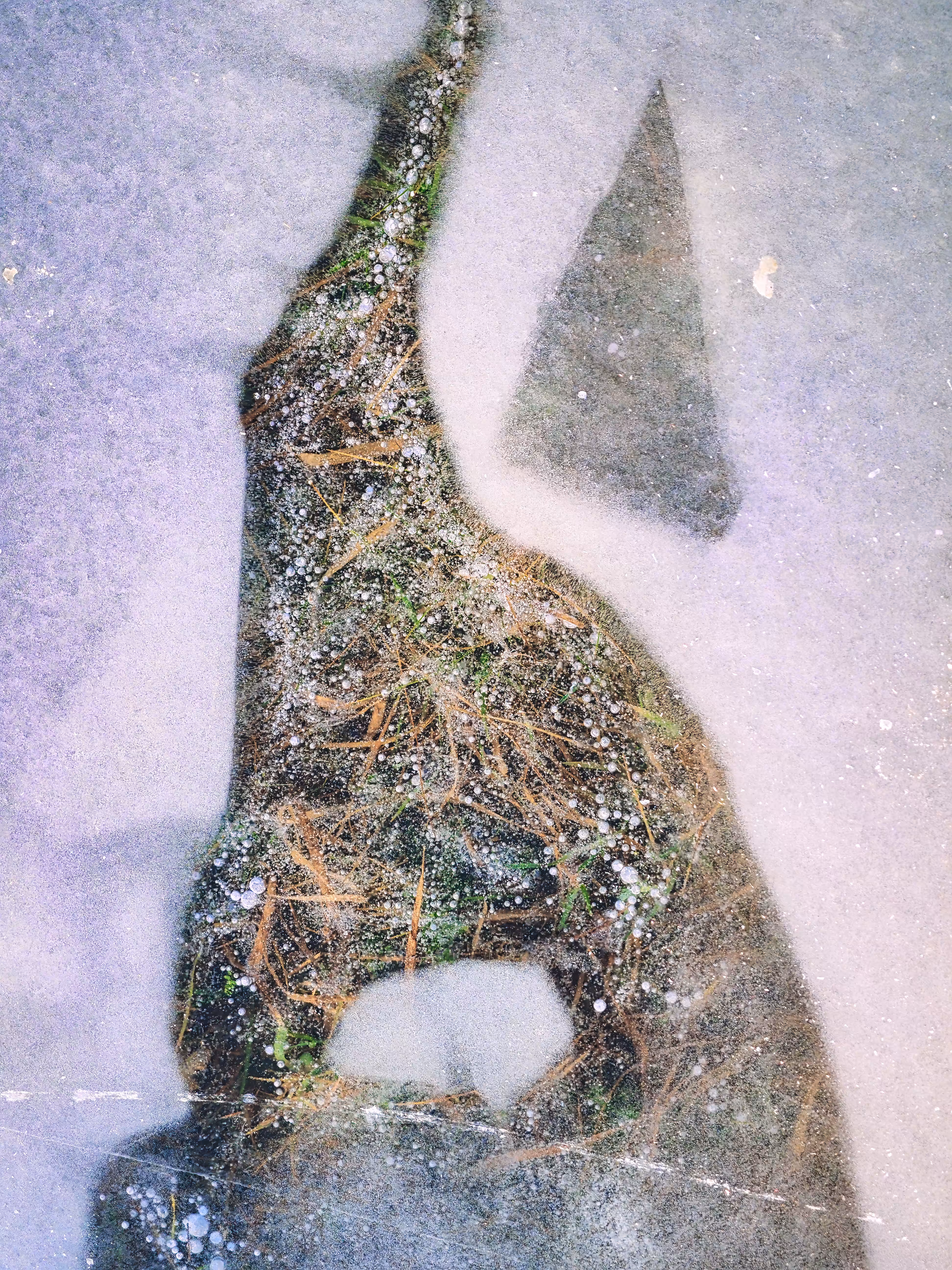 Frozen World I