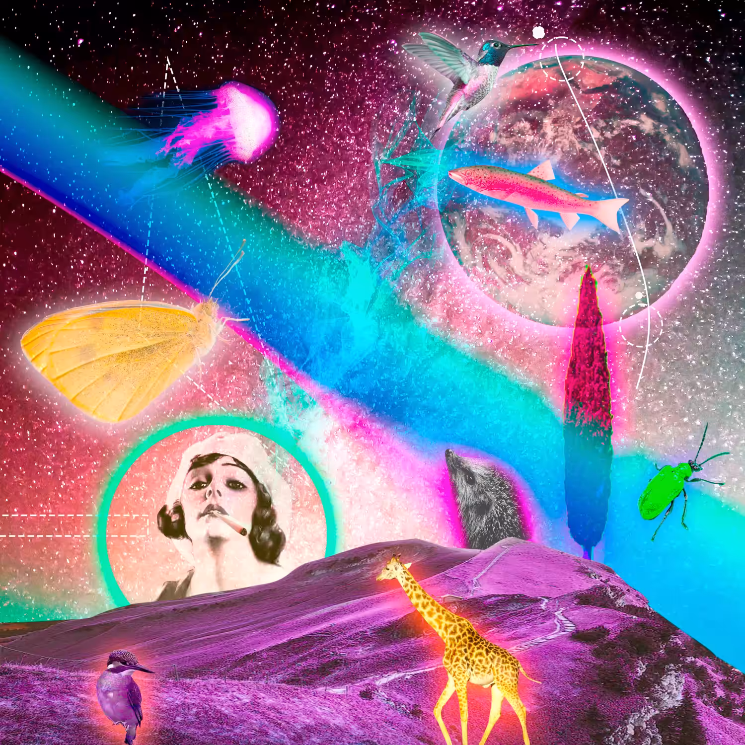 Shill me the rainbow