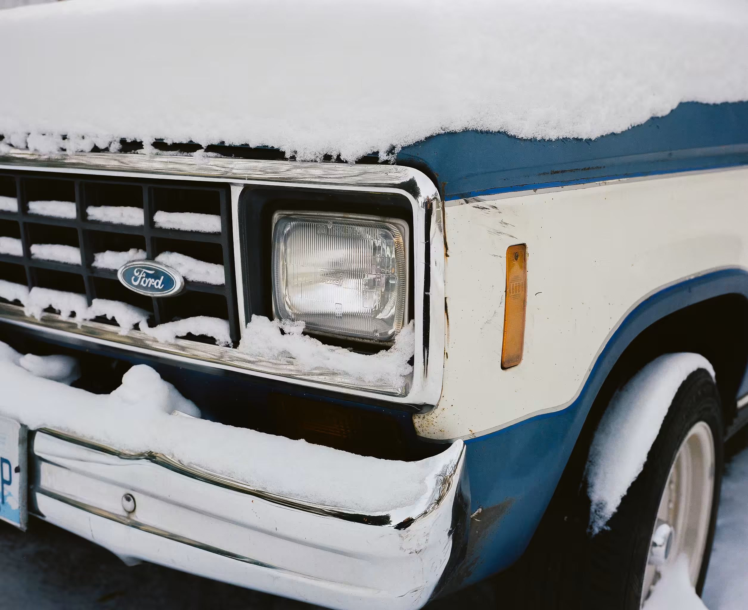Snowed In