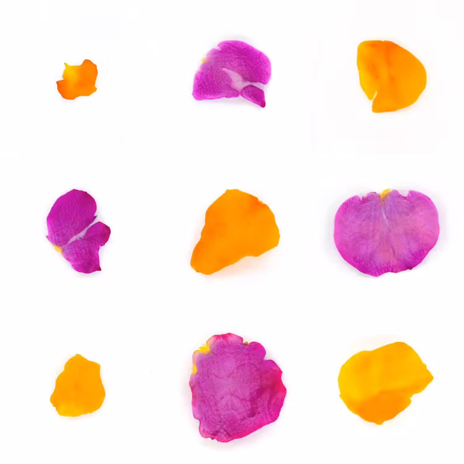Infinite Petals 3x3#2935