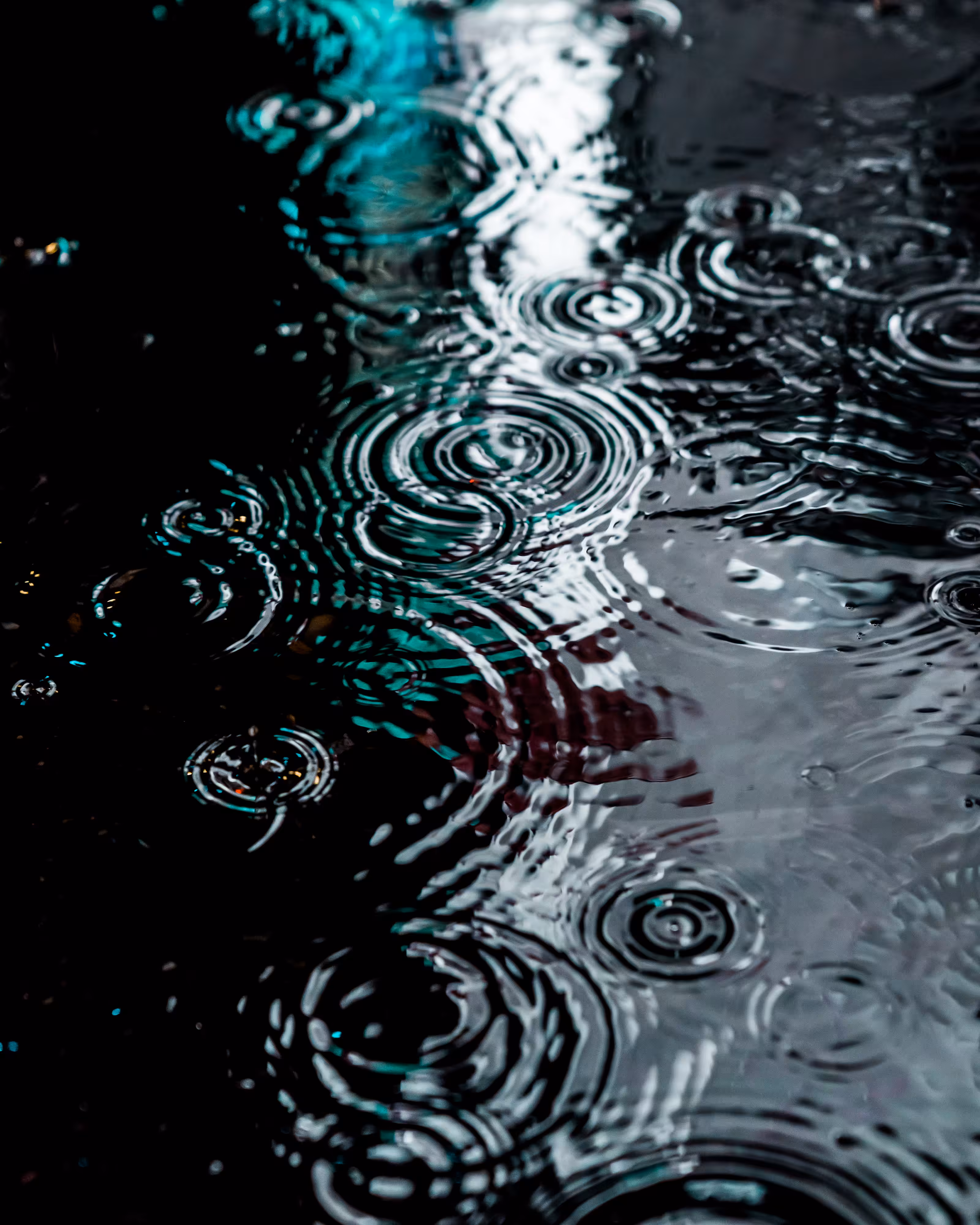 DRIP DROP: DRIP #640