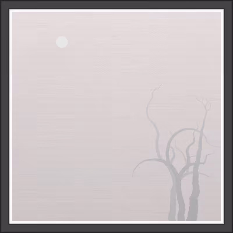 The Foggy Trees #155