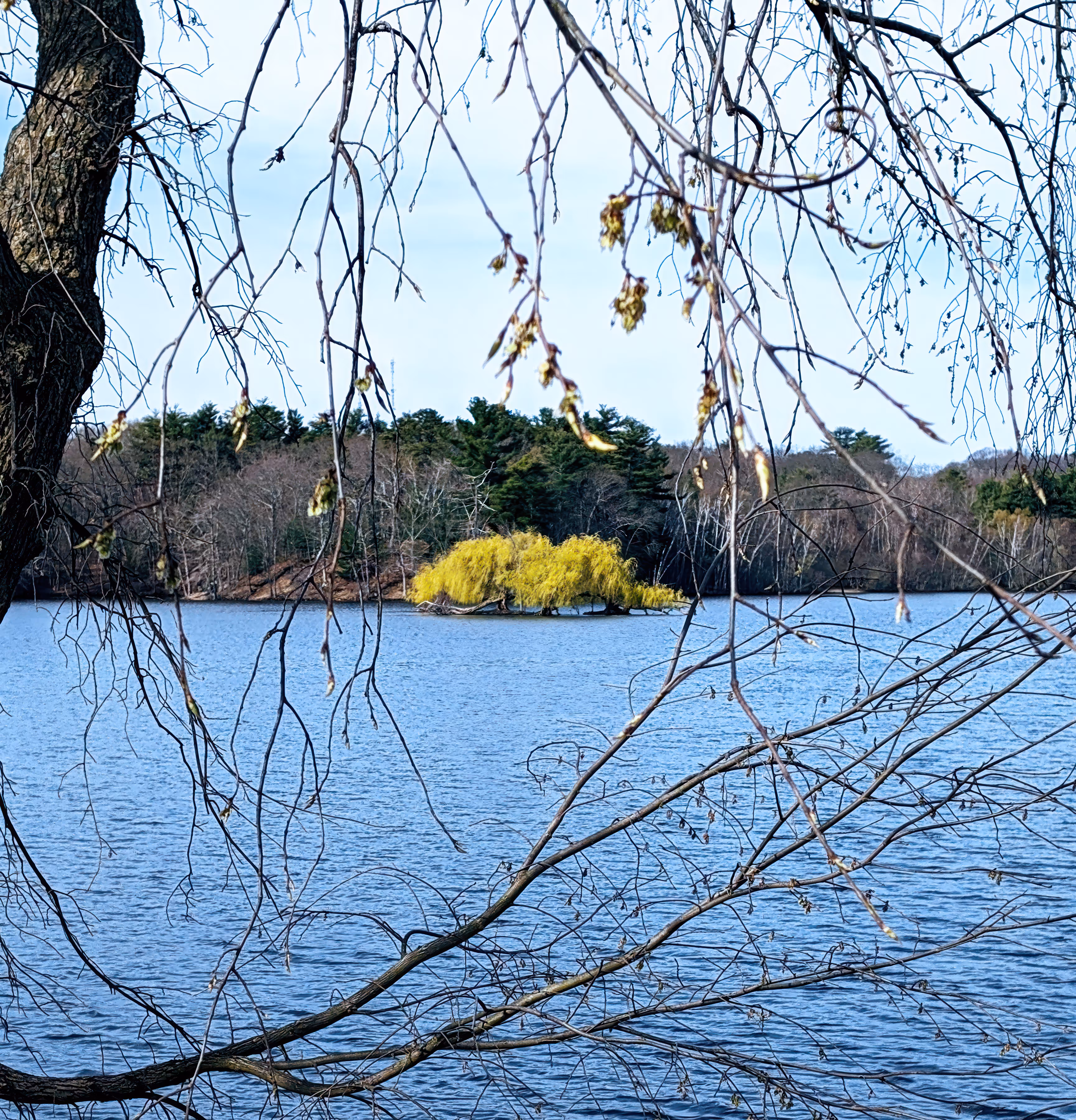 Secret Isle