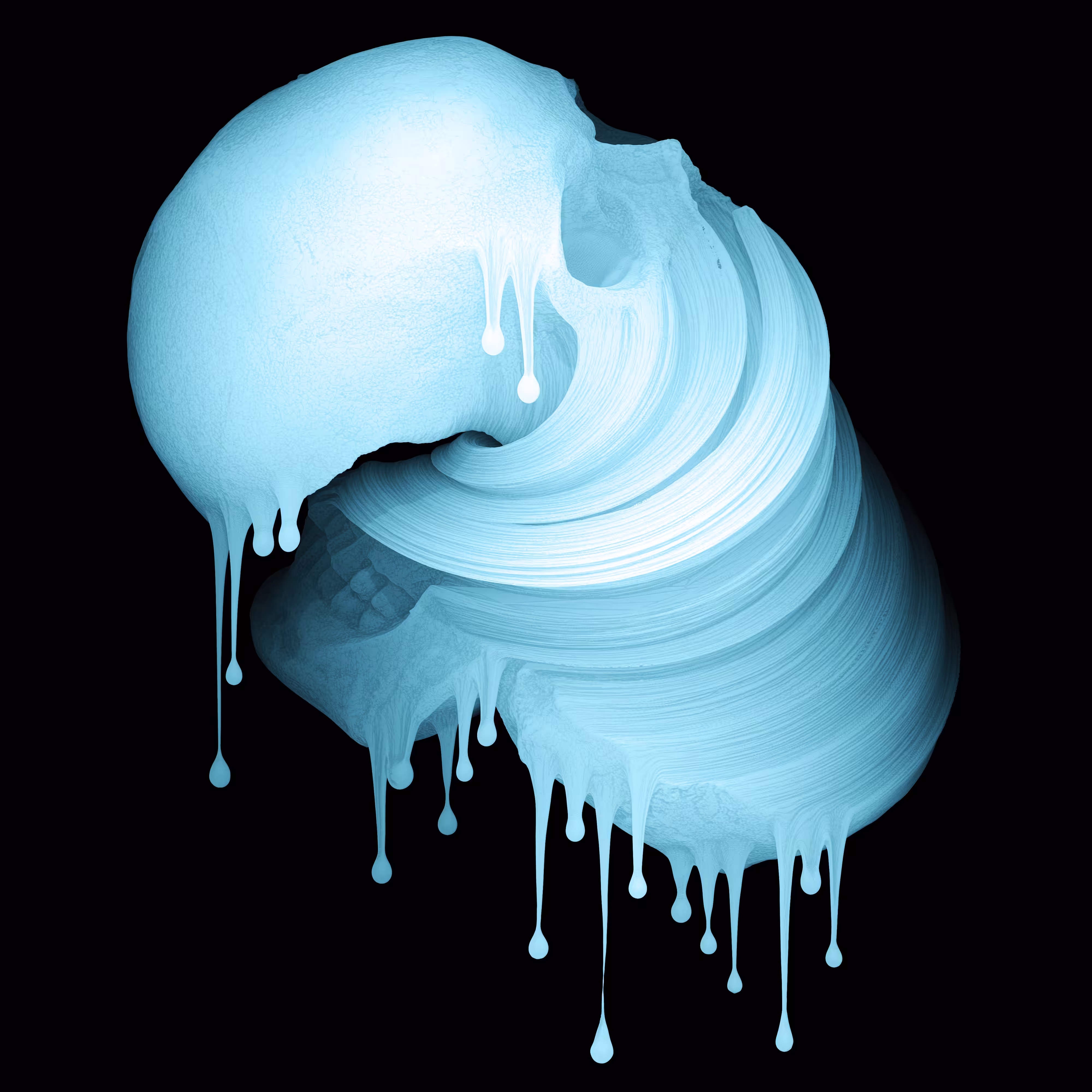 Skin Hodlr #05 (X-ray)