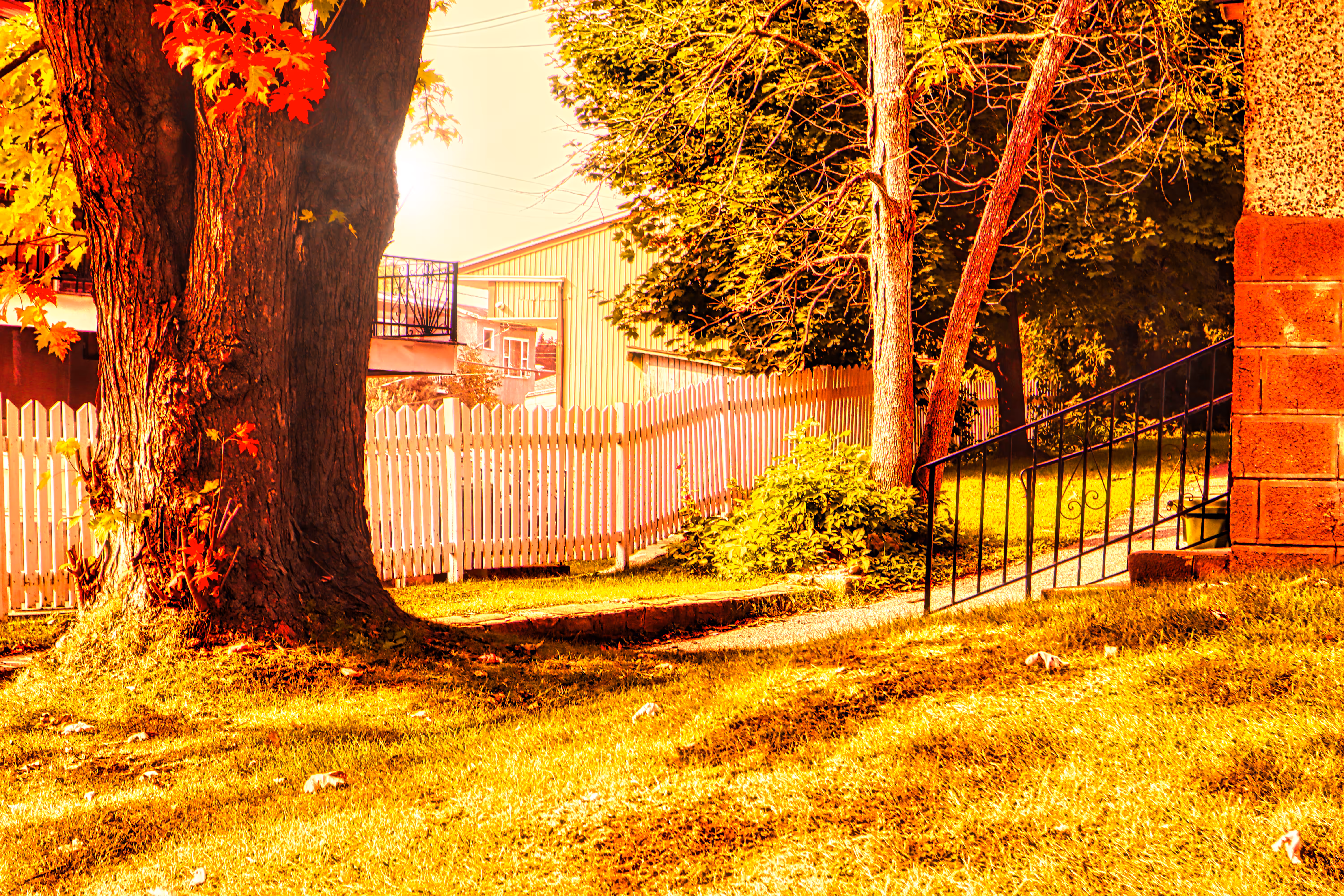 2022: Red Autumn
