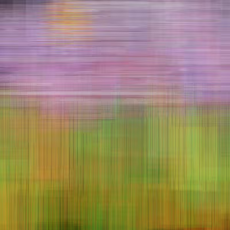 Hatch Field 003 #118