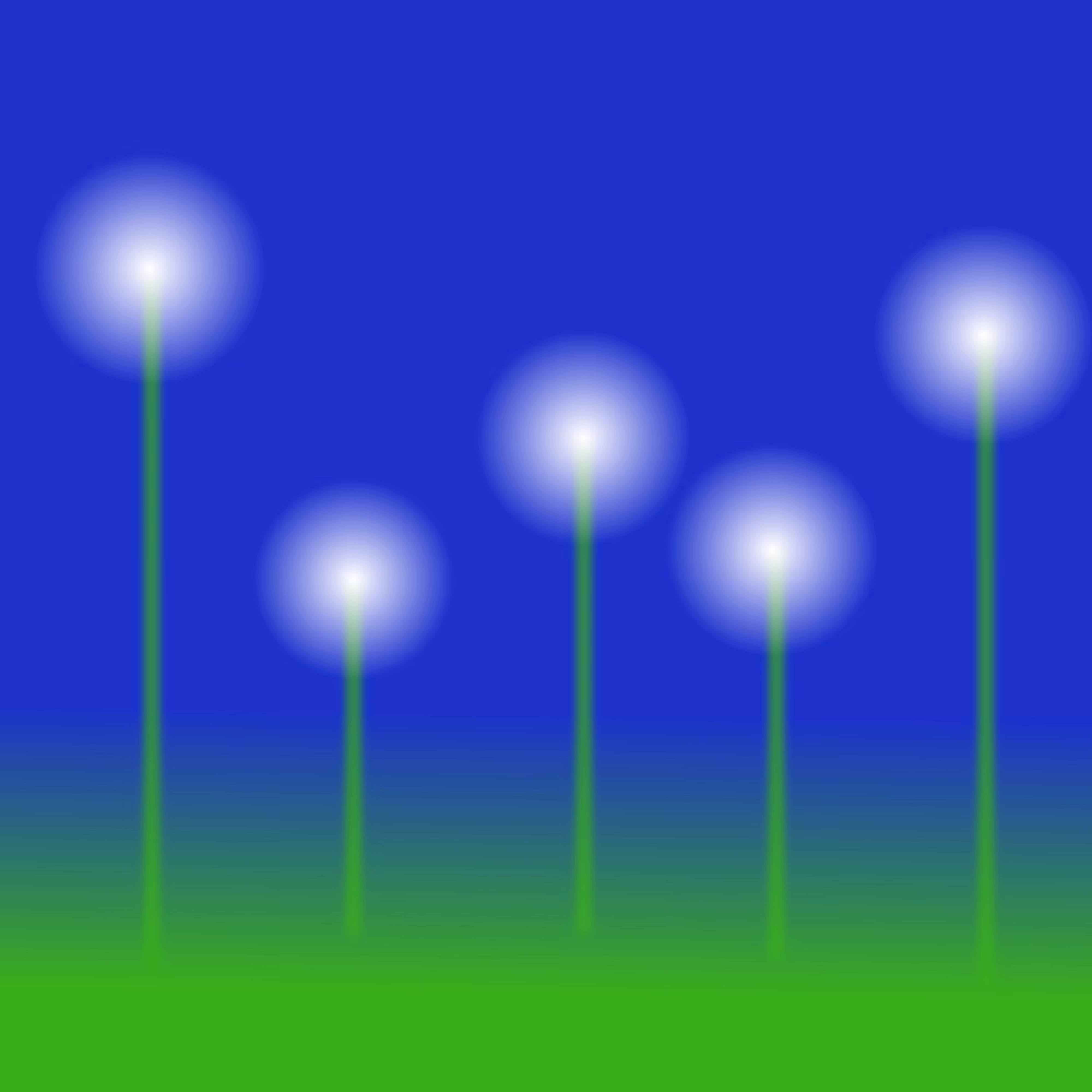 Dandelions in the night