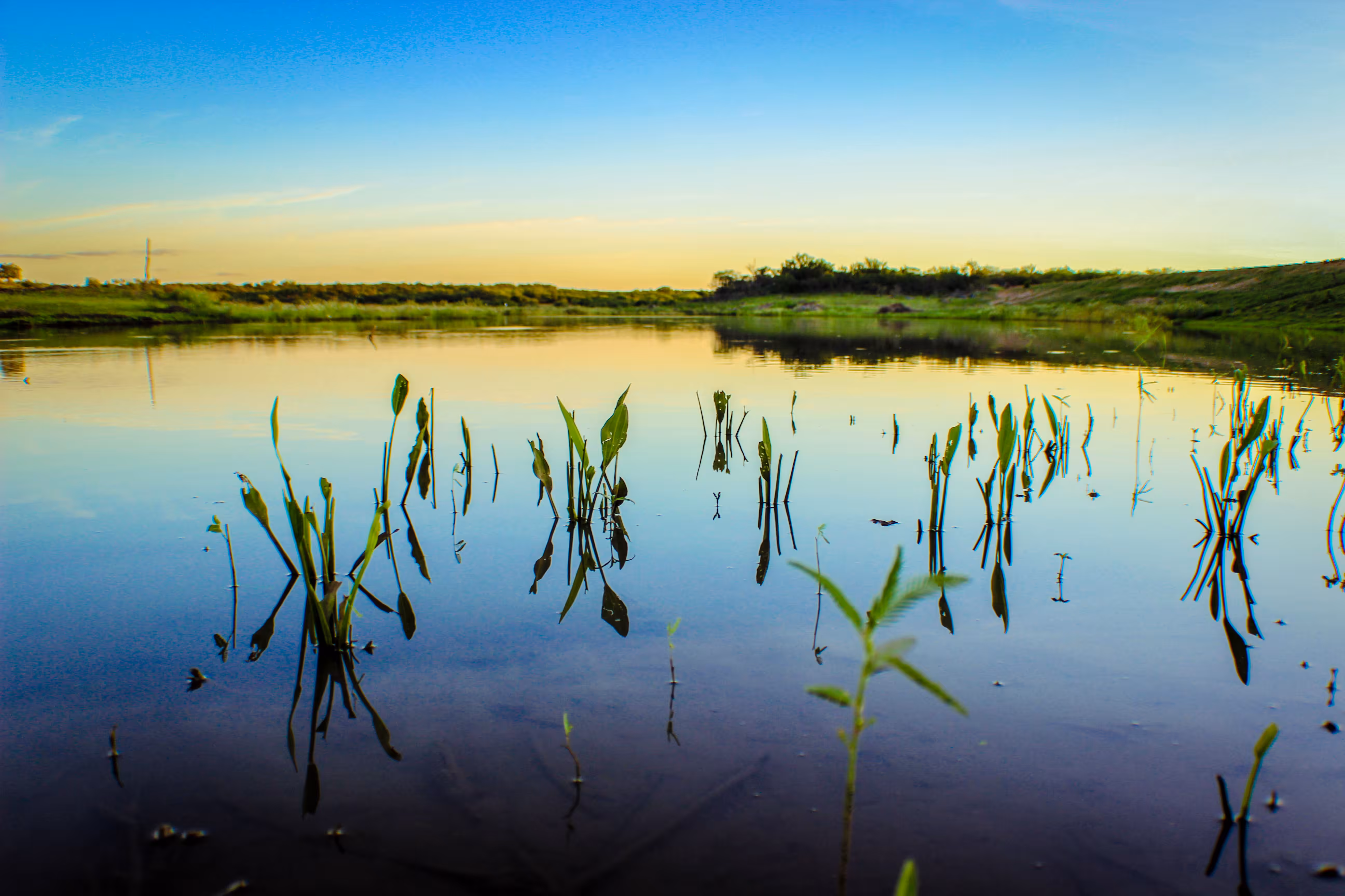 the lake