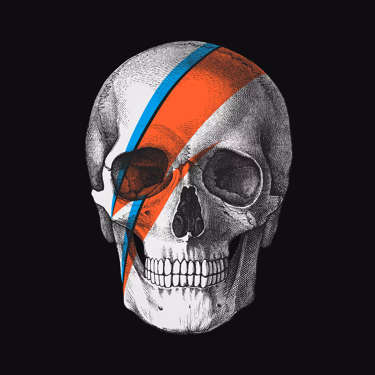 Pop Skullture 005: Ziggy [NFT Edition]
