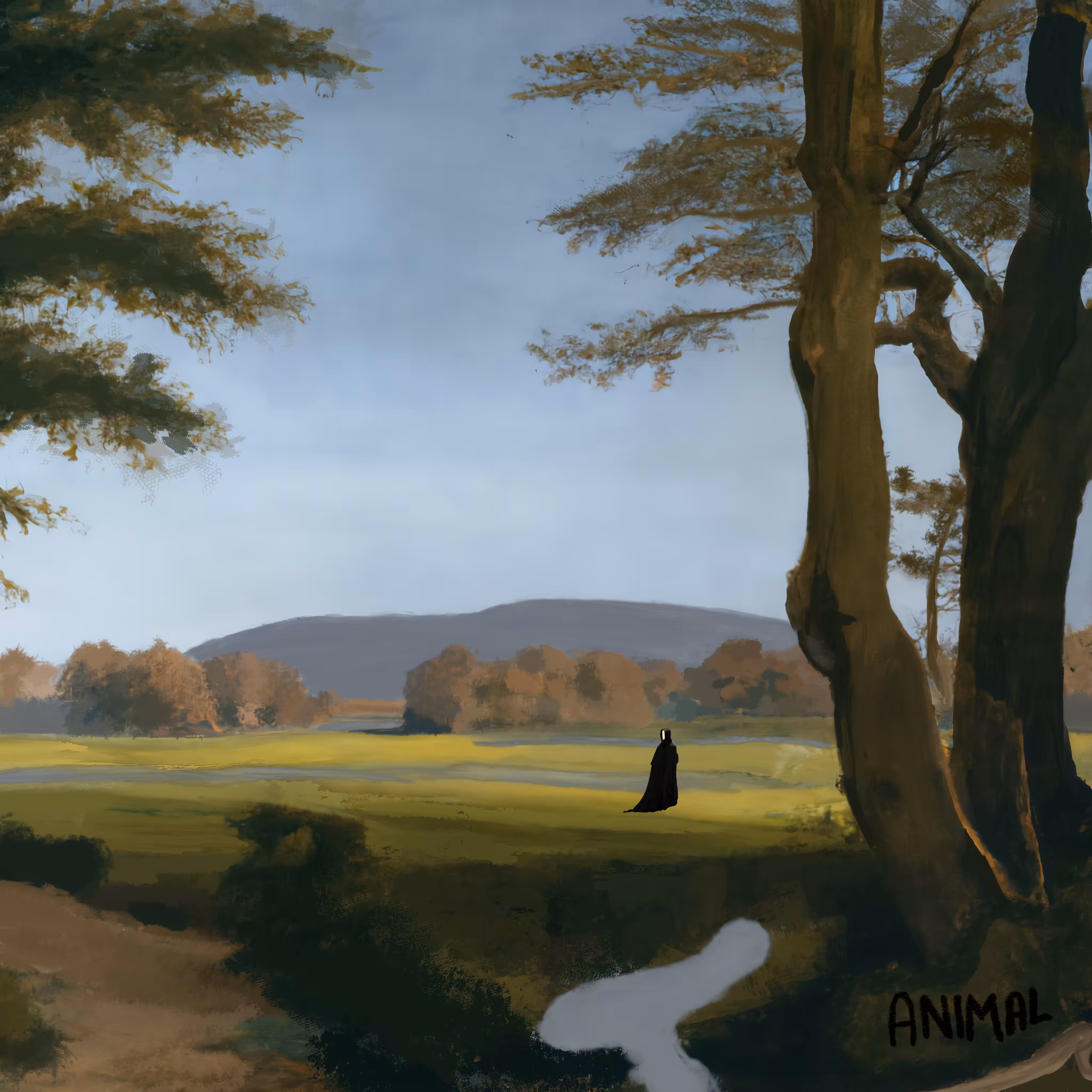 WETLANDS
