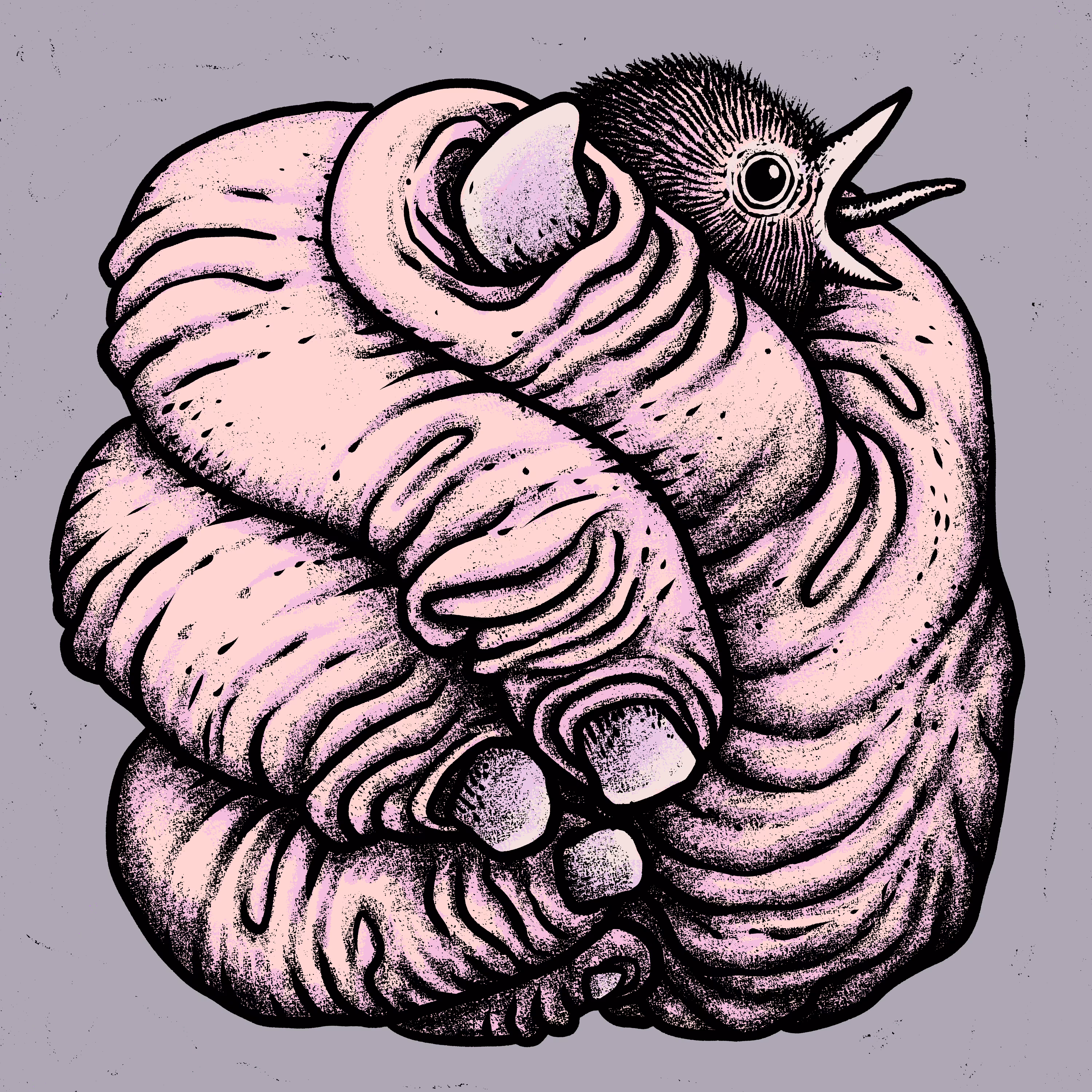 Hand hold another small bird