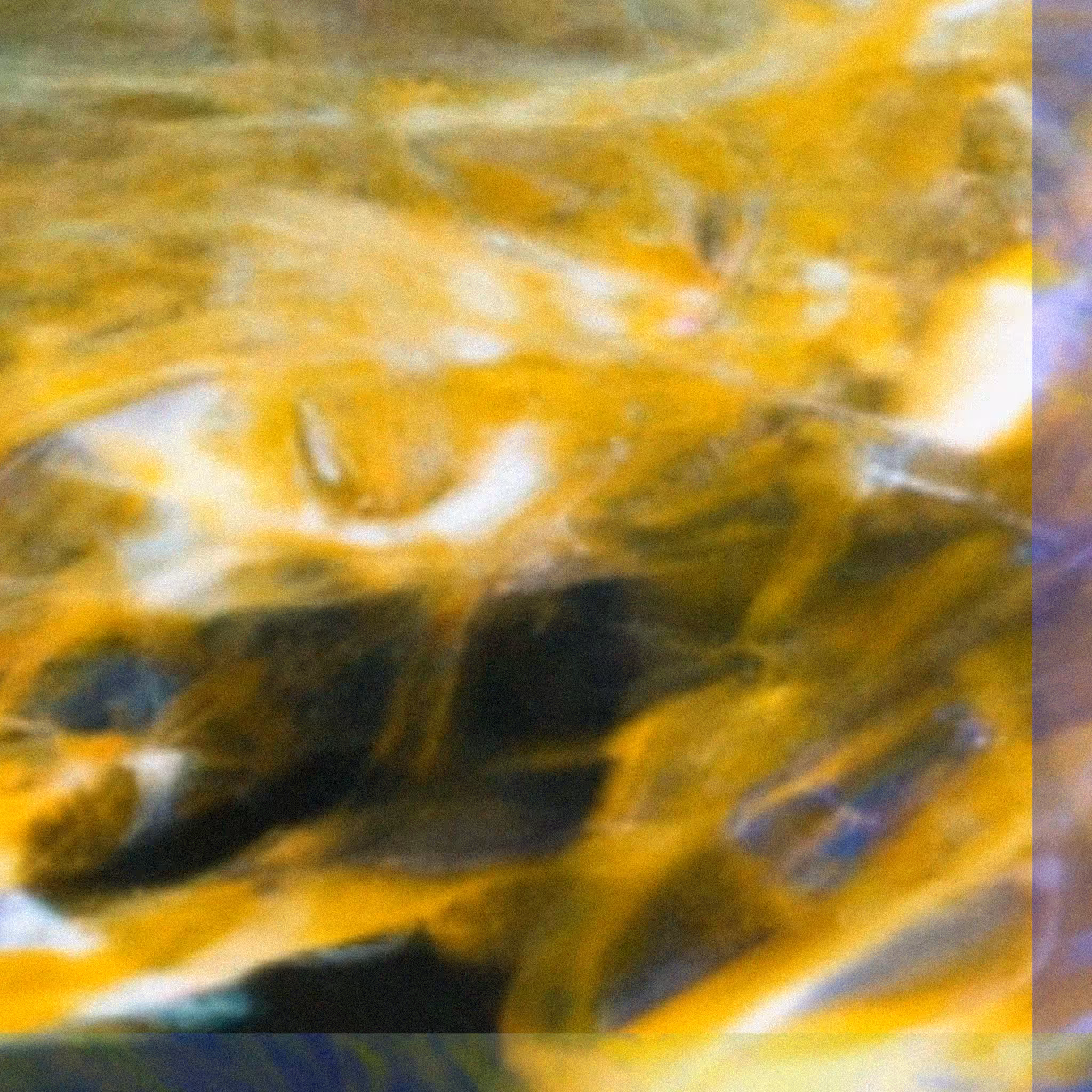 WHISPERS (in code) #210