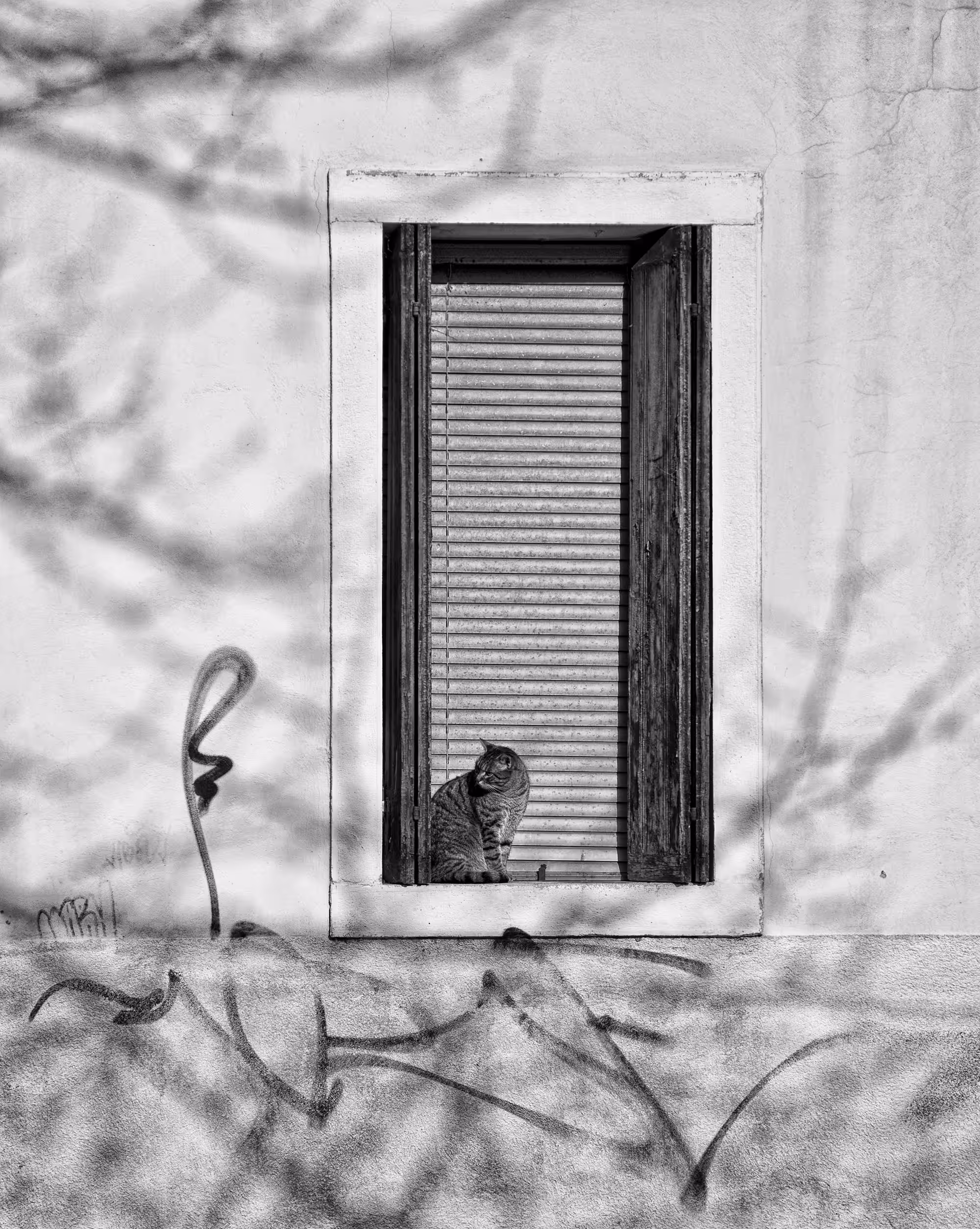 Venice Dawn #5